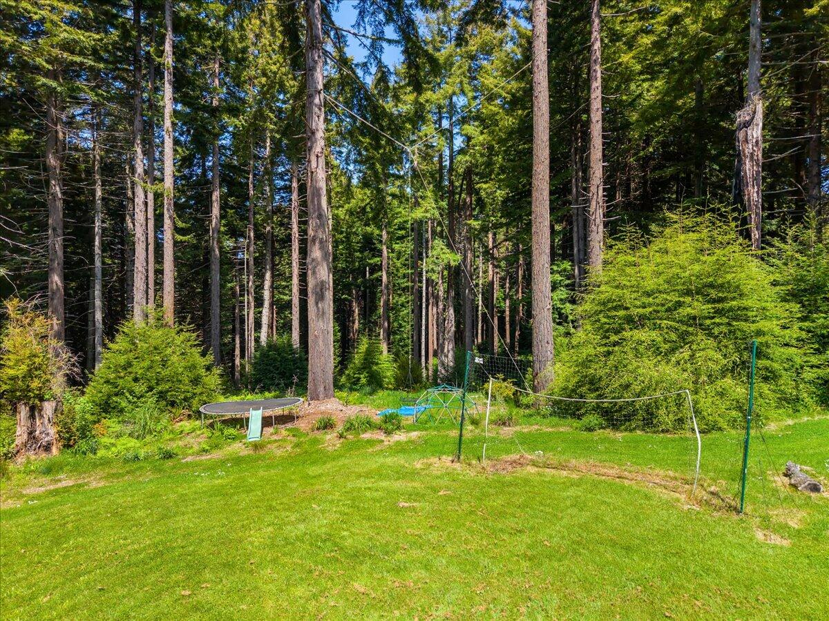 3089 Pigeon Point Road