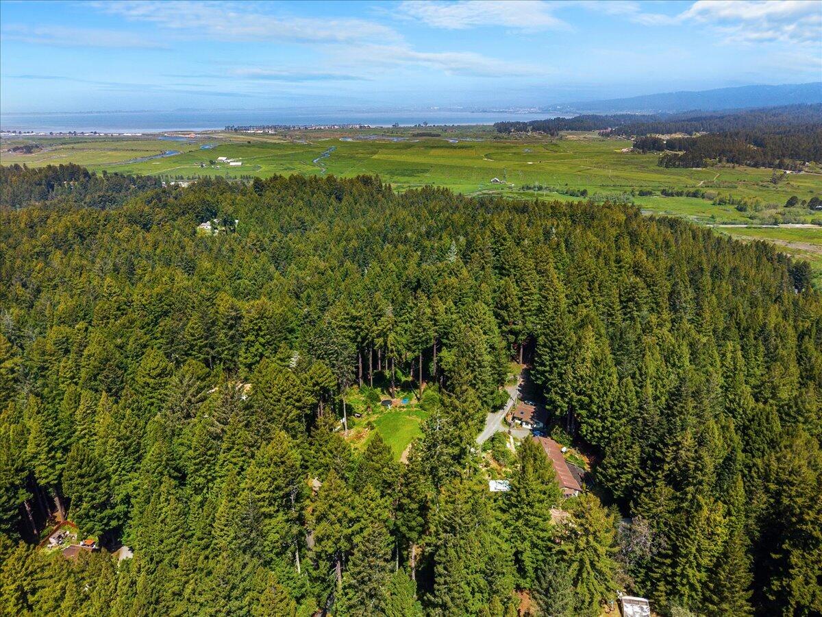 3089 Pigeon Point Road