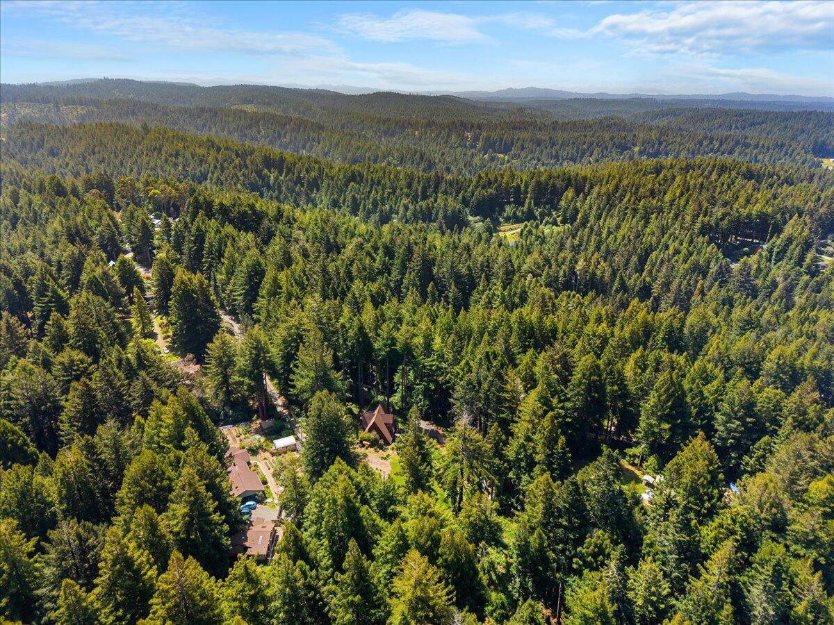 3089 Pigeon Point Road