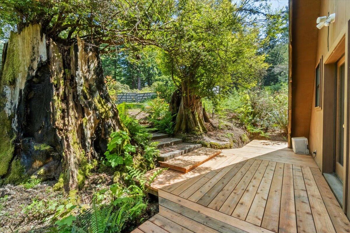 3089 Pigeon Point Road