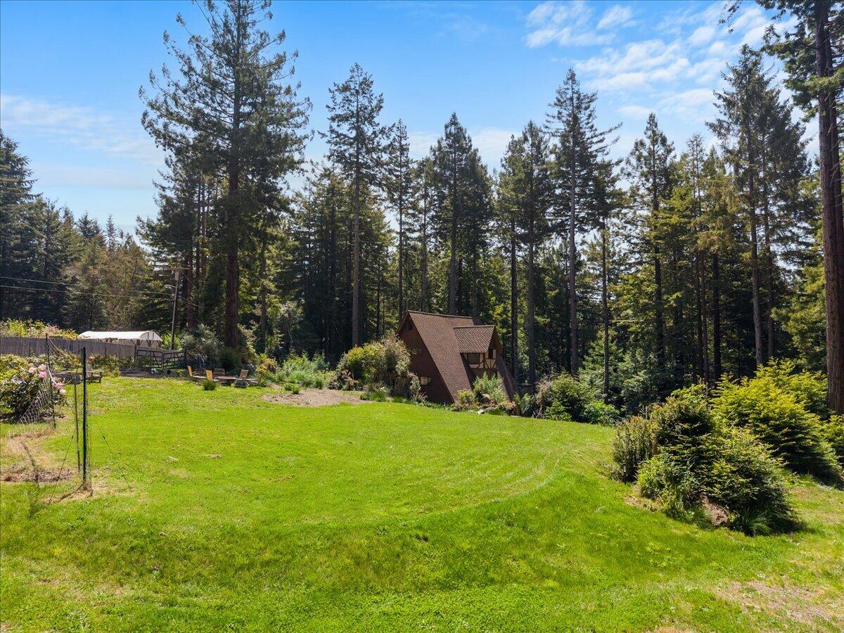 3089 Pigeon Point Road