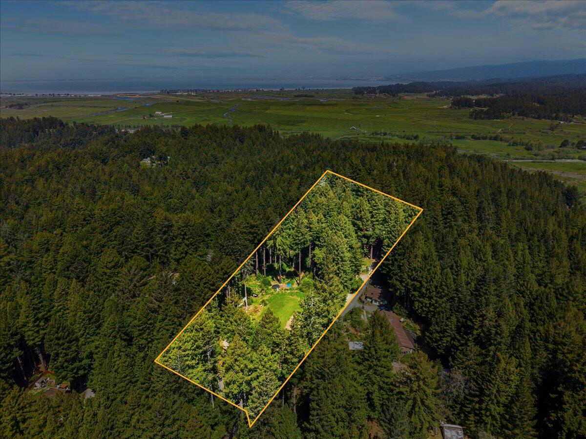 3089 Pigeon Point Road