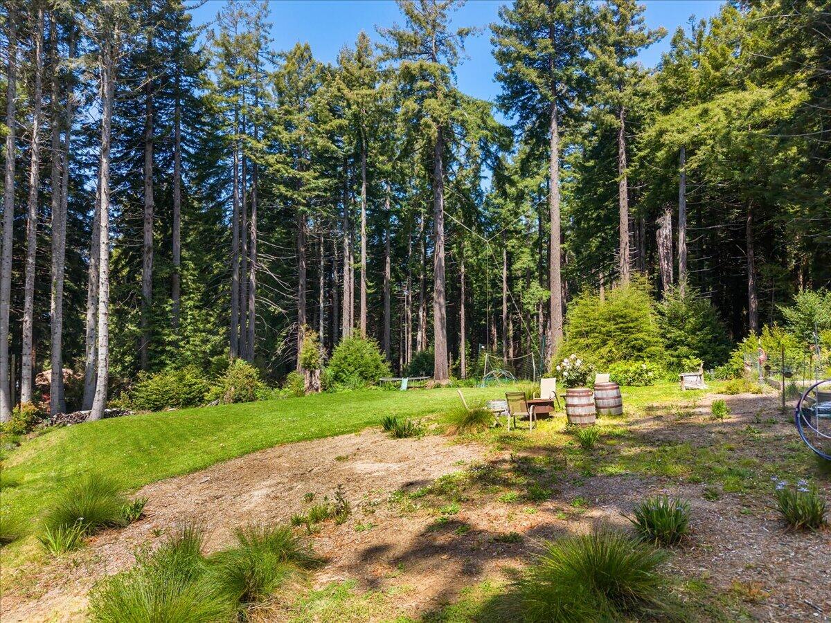 3089 Pigeon Point Road