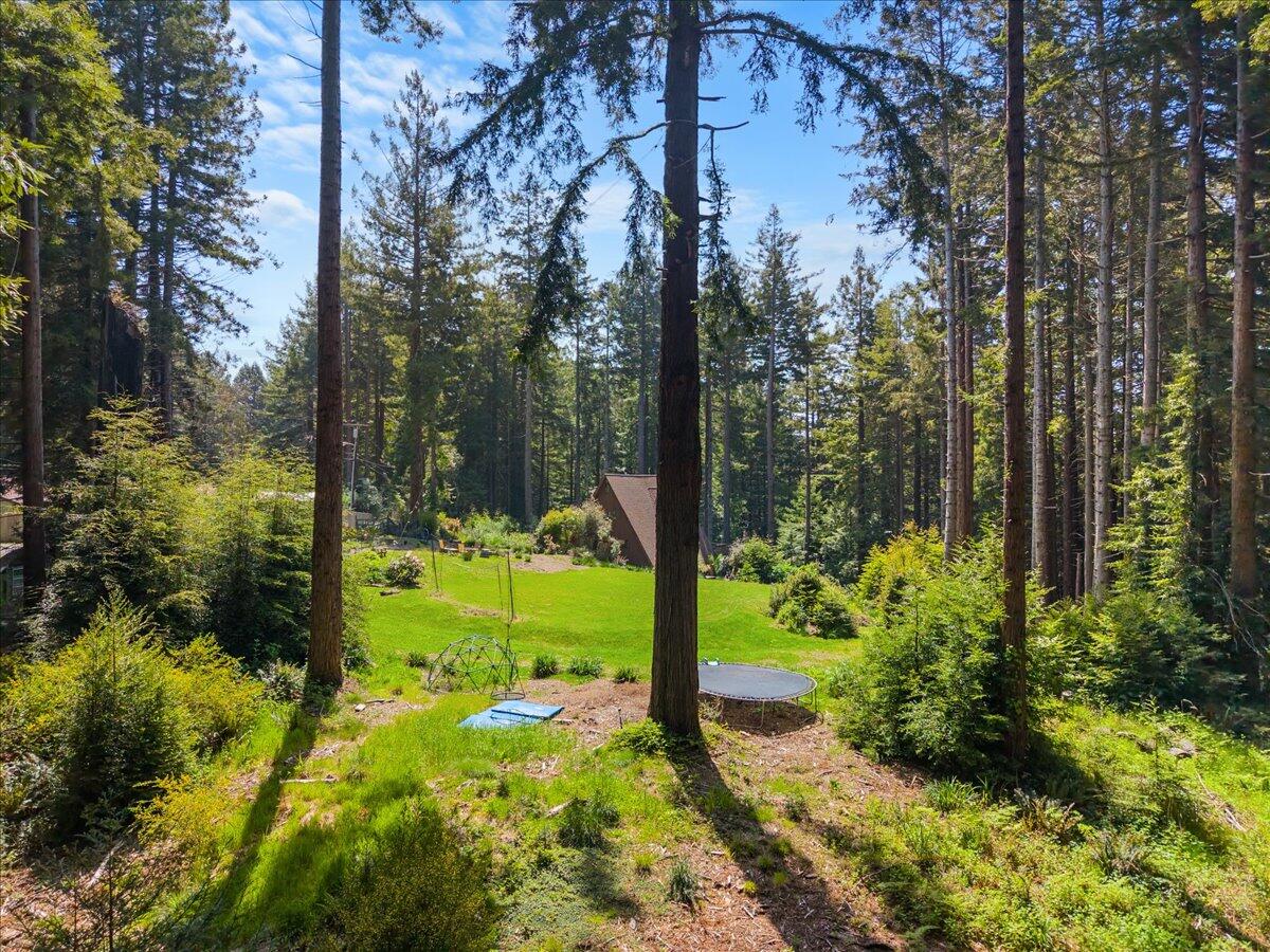 3089 Pigeon Point Road