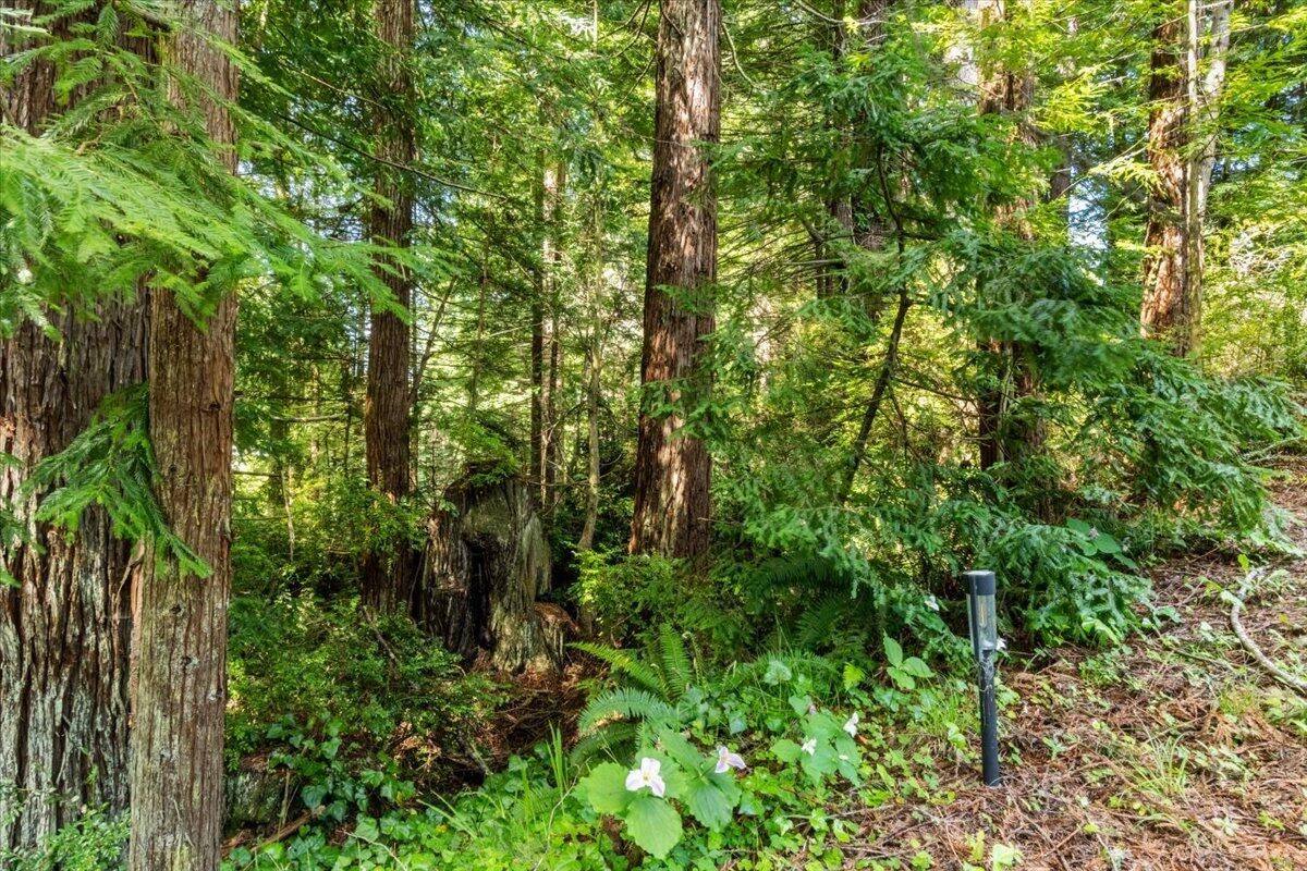 3089 Pigeon Point Road