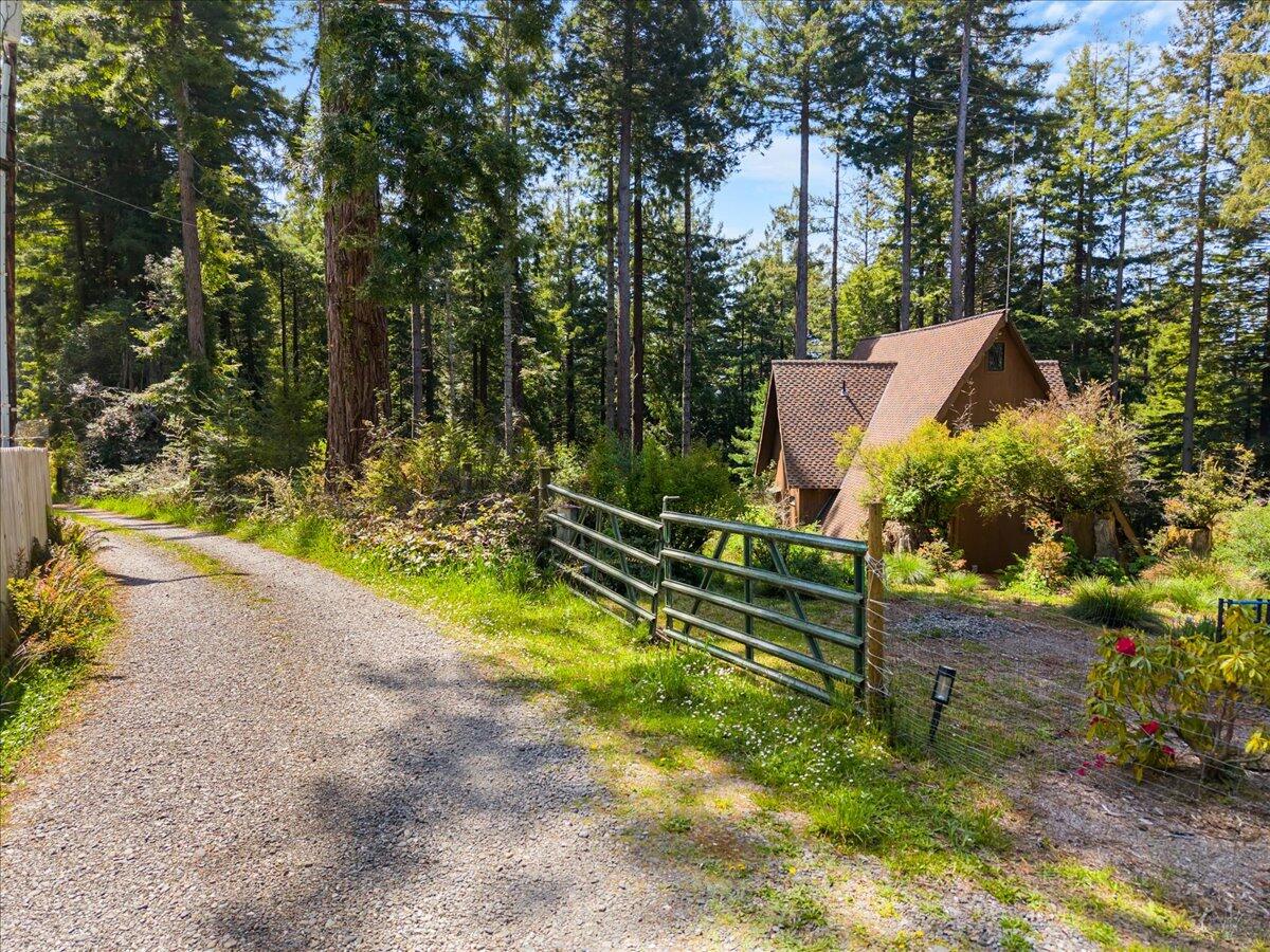 3089 Pigeon Point Road