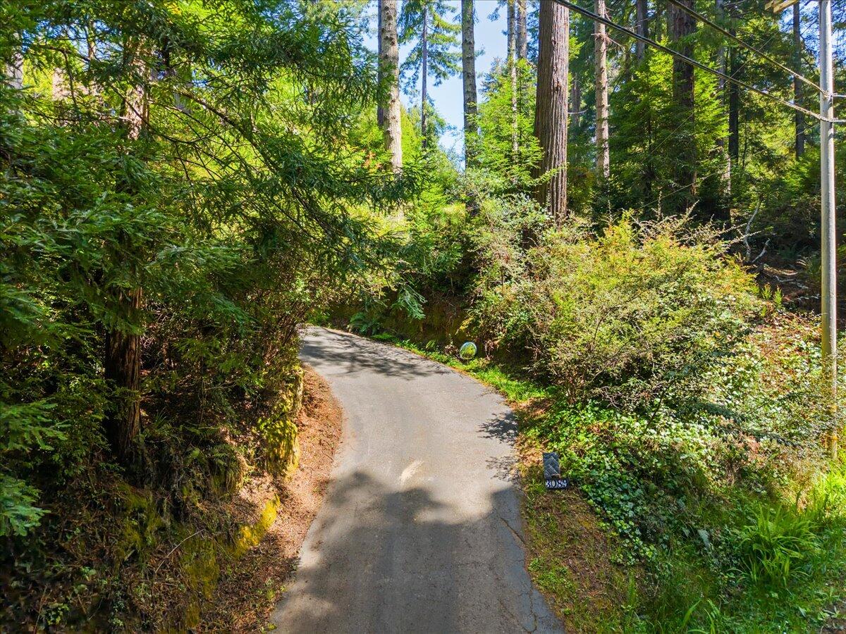3089 Pigeon Point Road