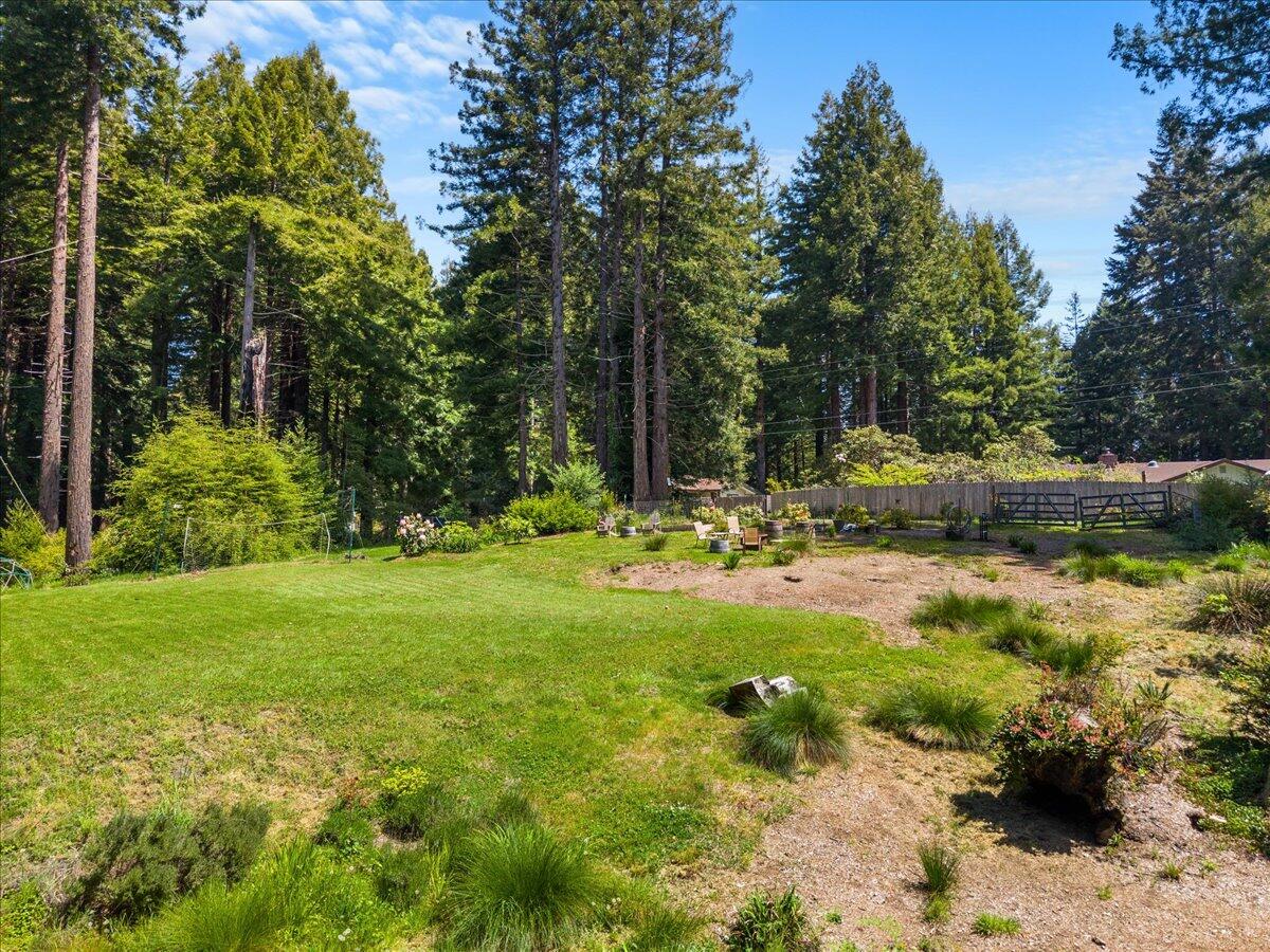 3089 Pigeon Point Road