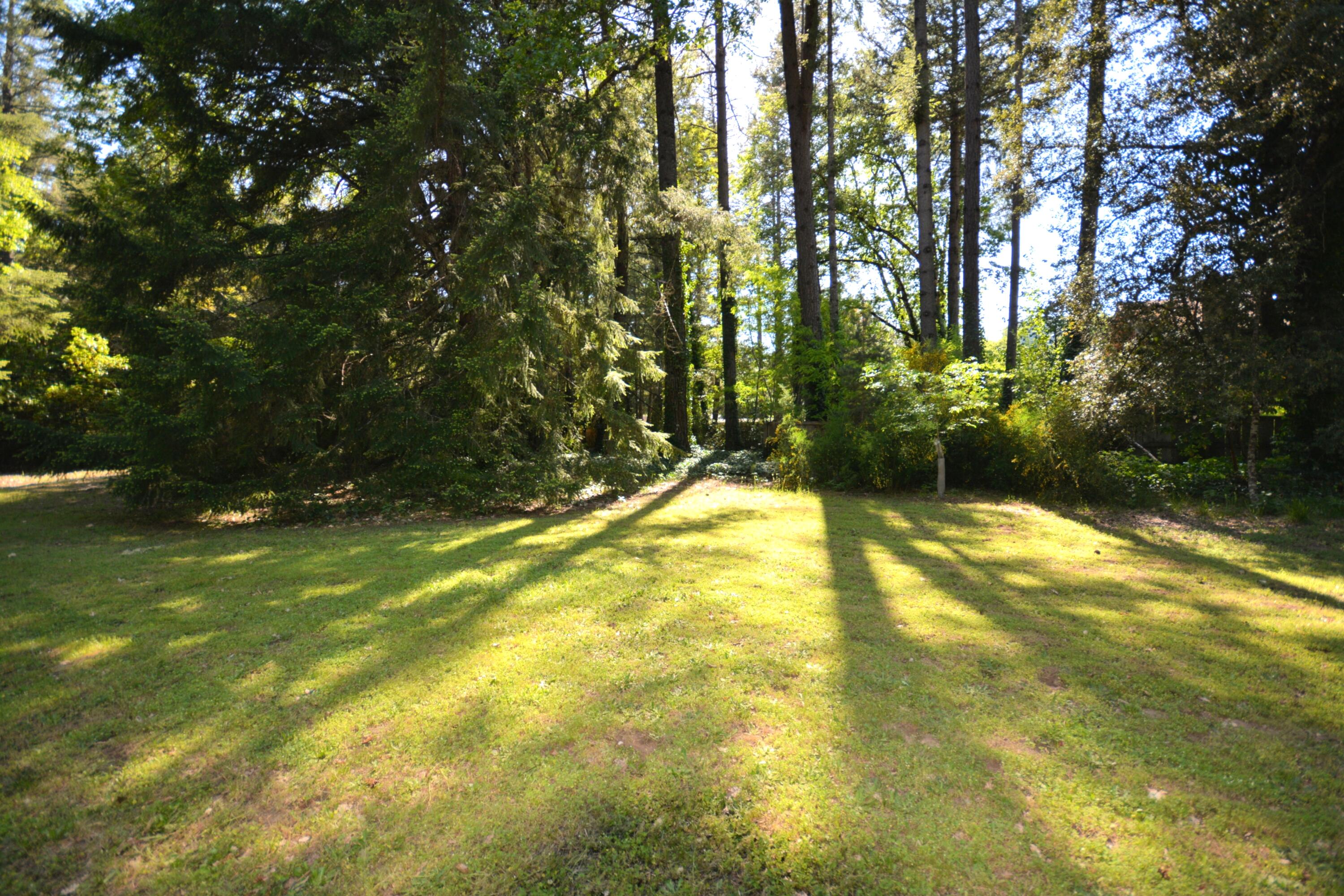 55 Oak Tree Lane