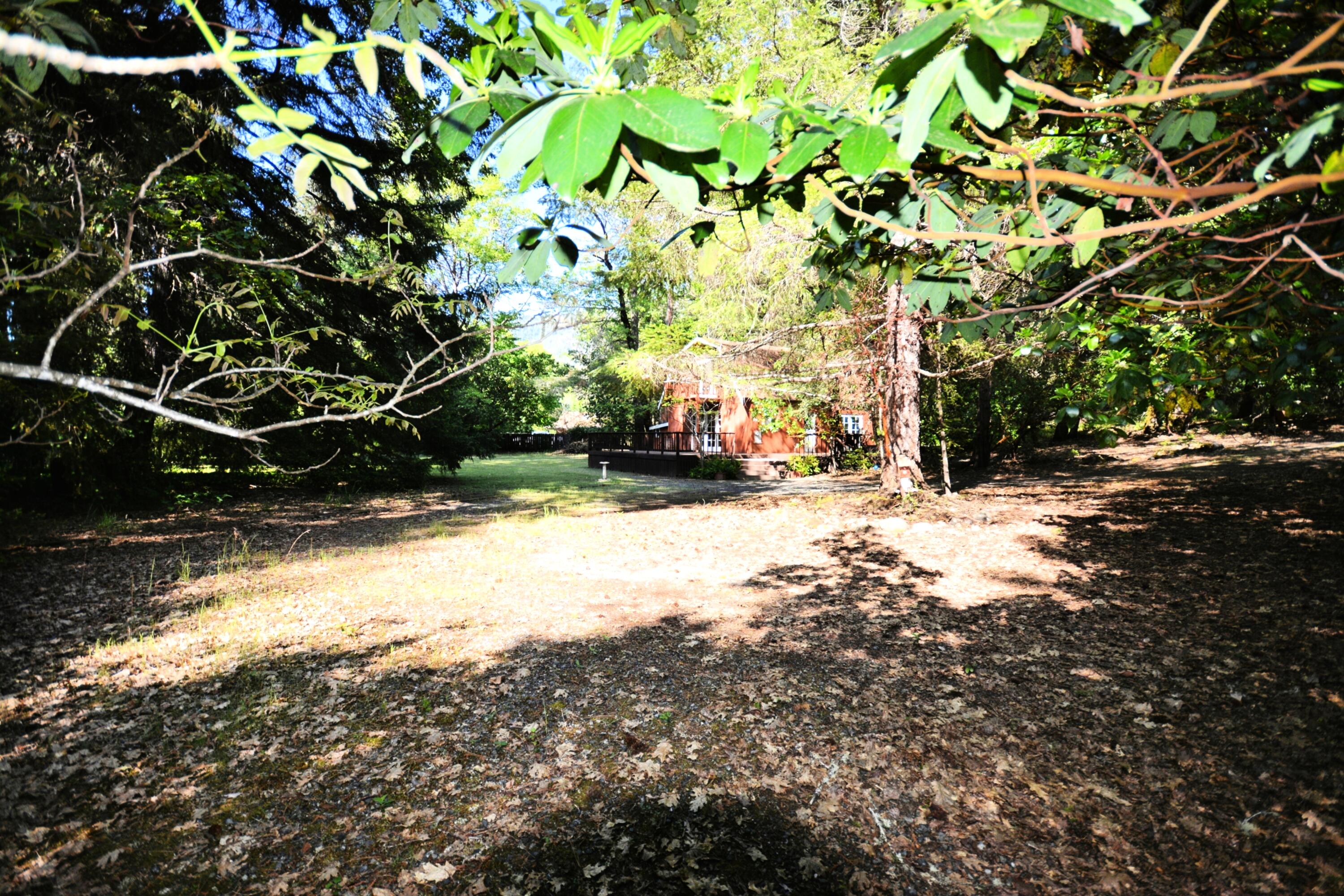 55 Oak Tree Lane