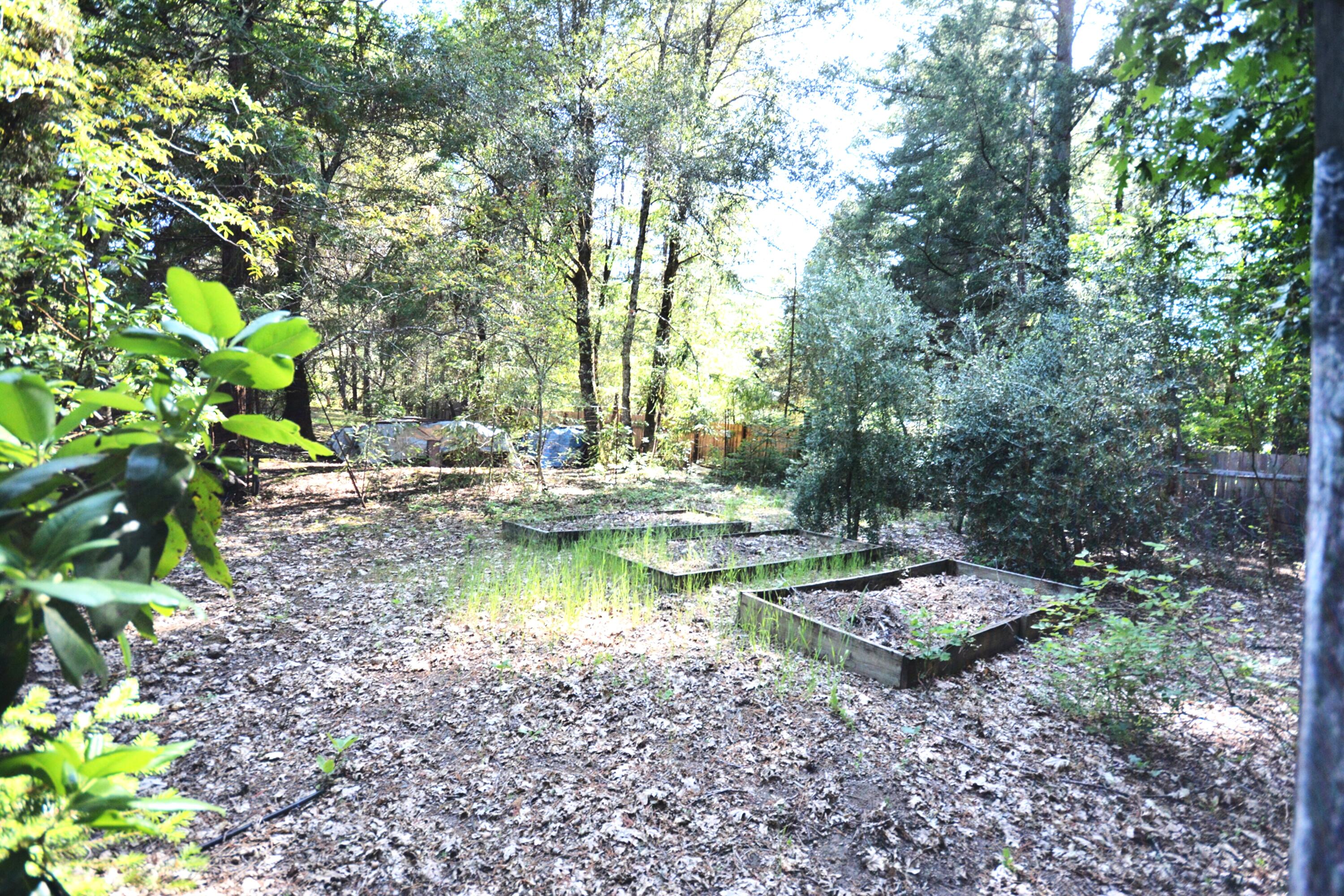 55 Oak Tree Lane