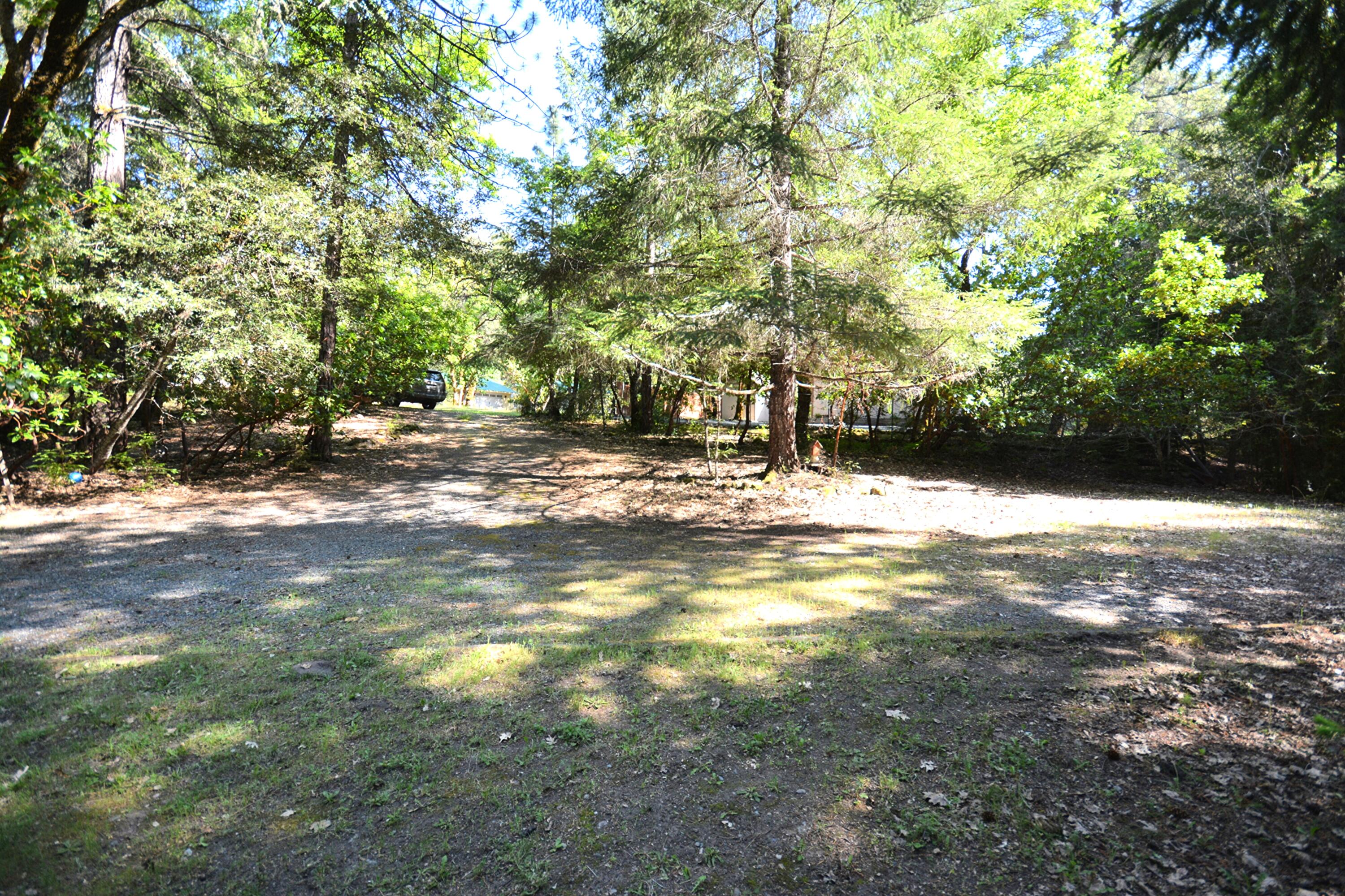 55 Oak Tree Lane