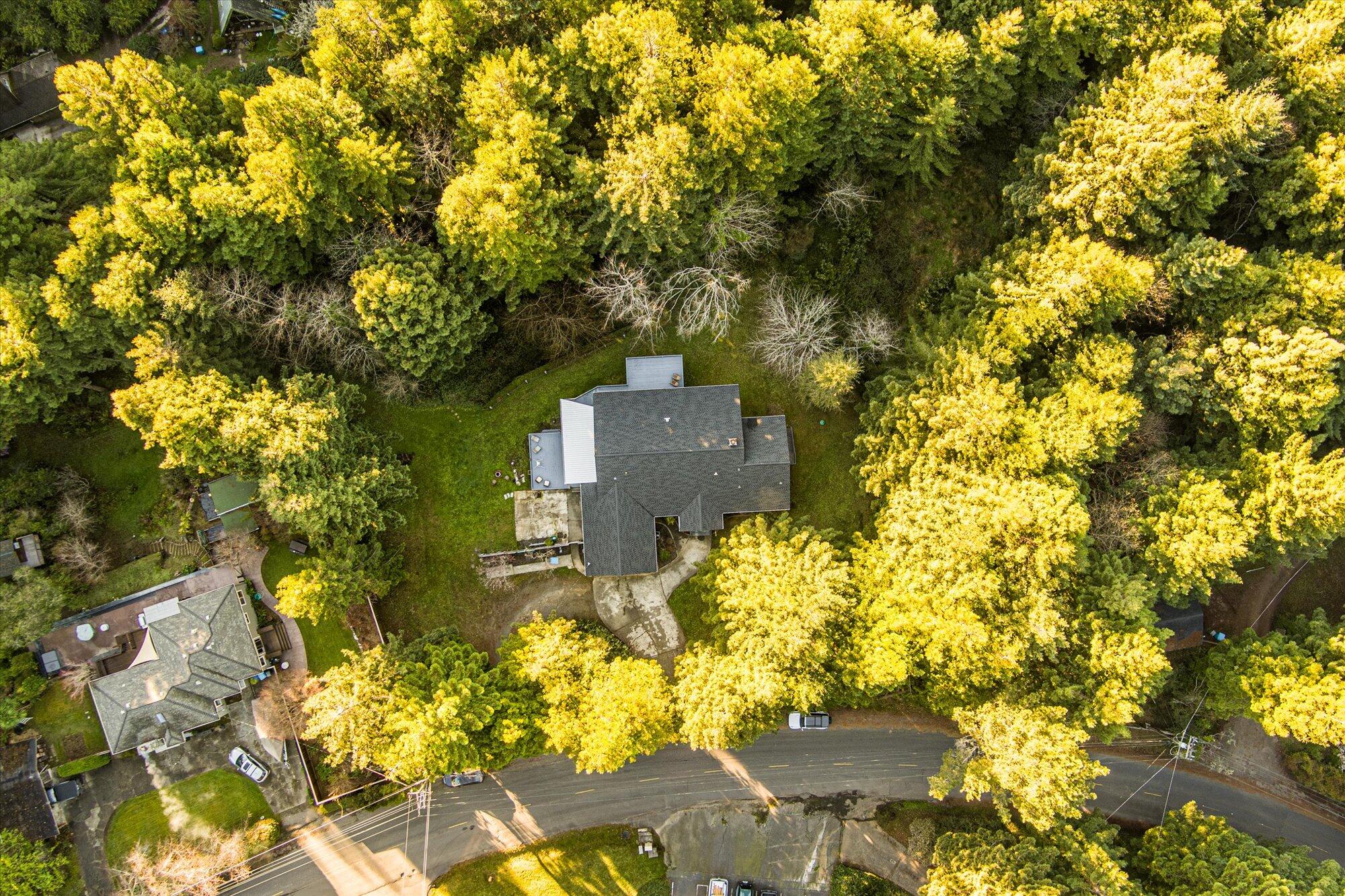 2894 Pigeon Point Road