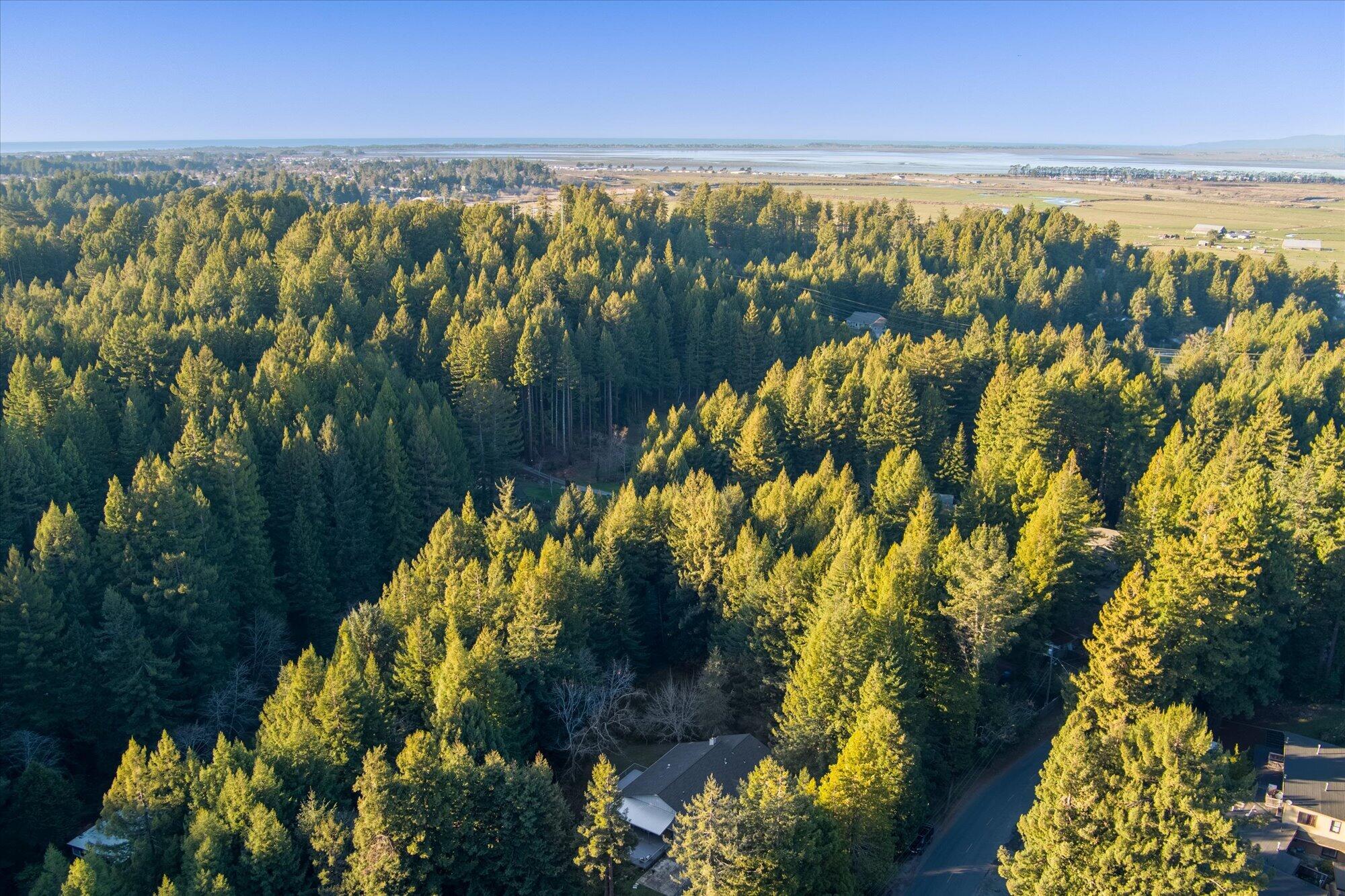 2894 Pigeon Point Road