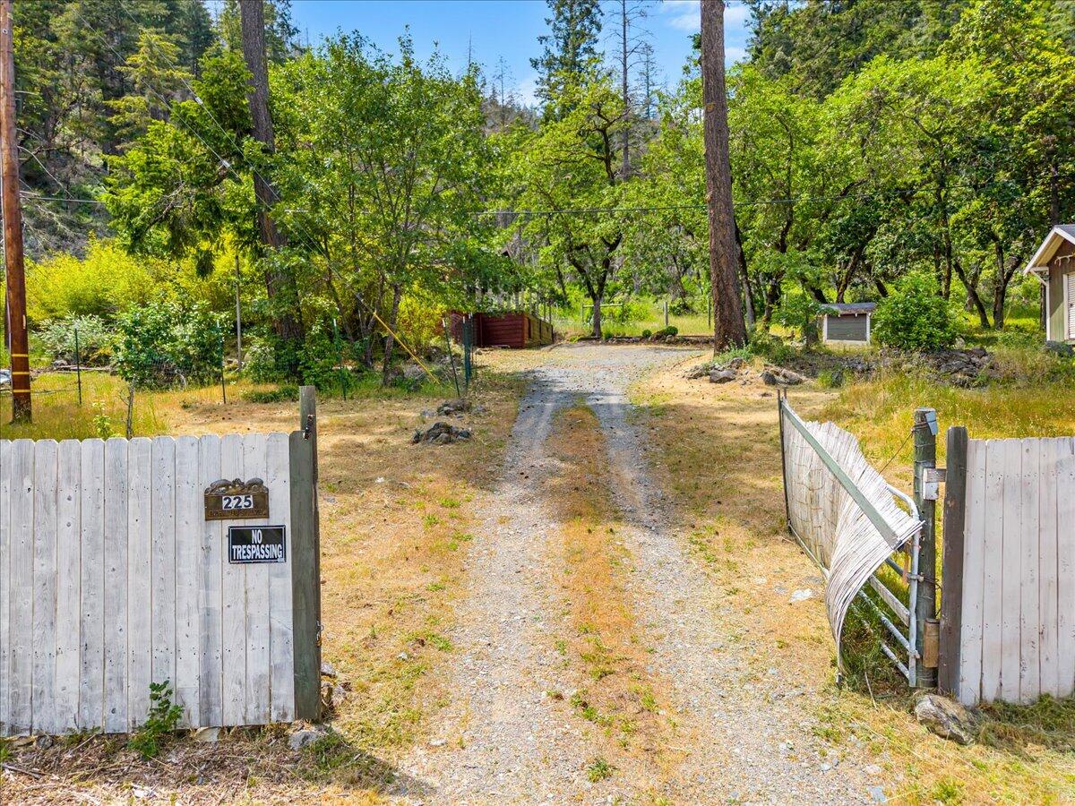 225 Enchanted Springs Lane