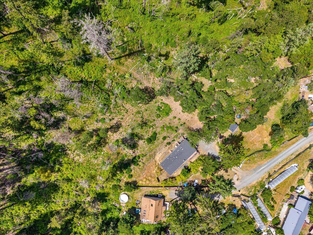 225 Enchanted Springs Lane