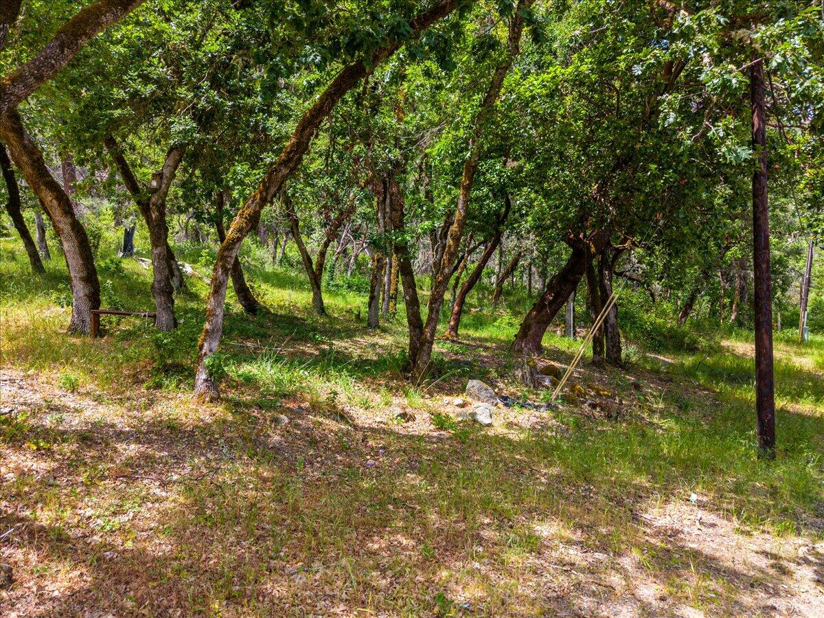 225 Enchanted Springs Lane