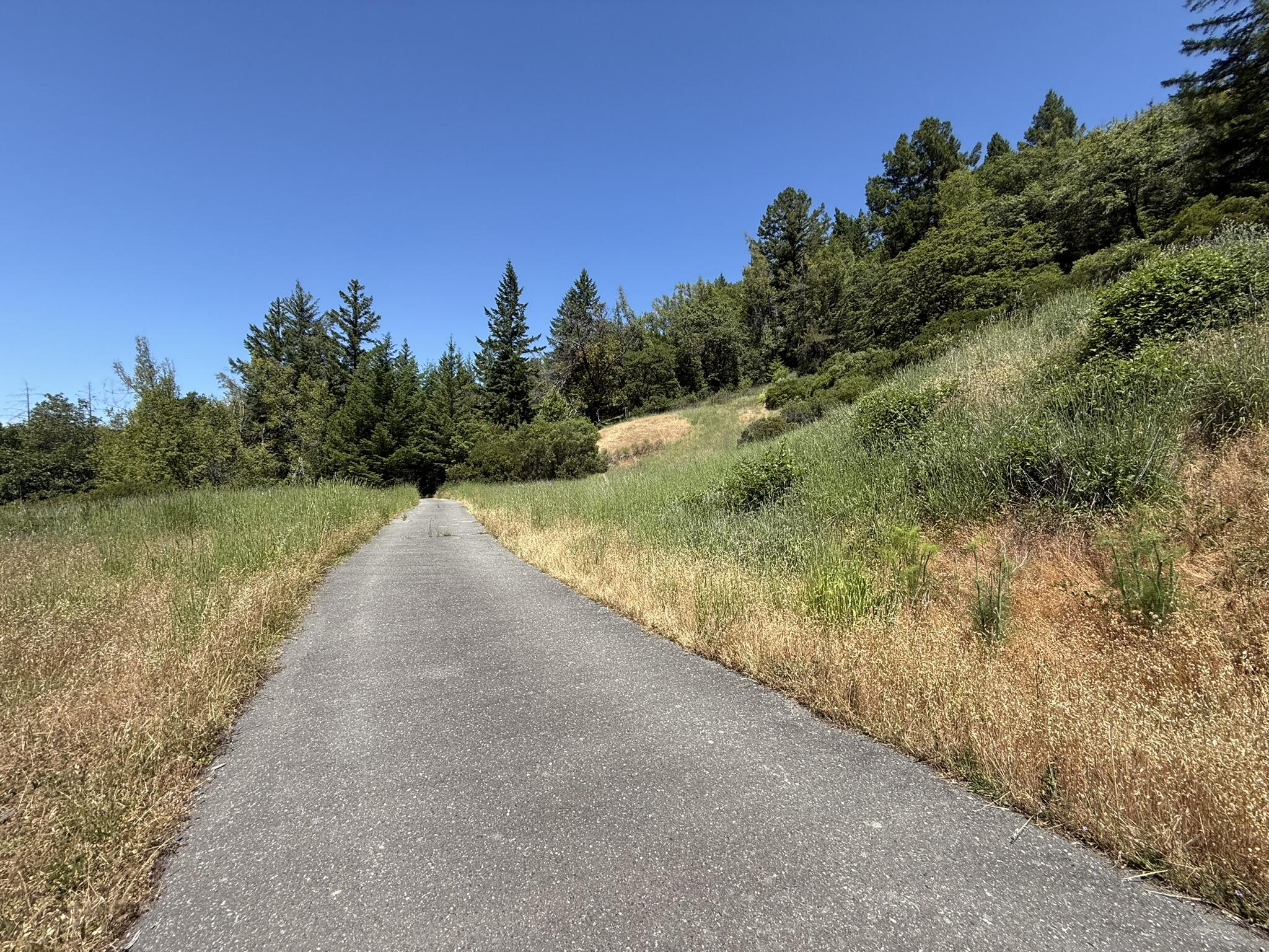 275 B Road
