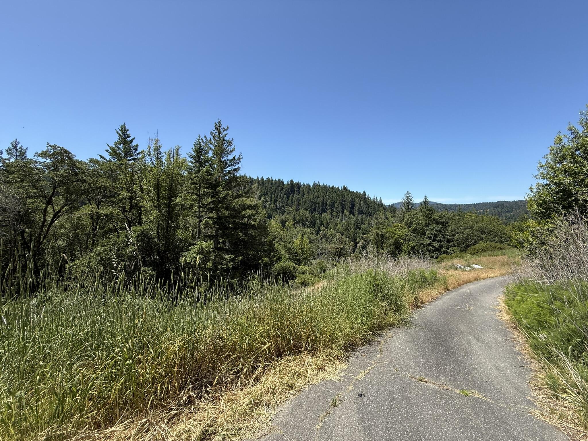 275 B Road