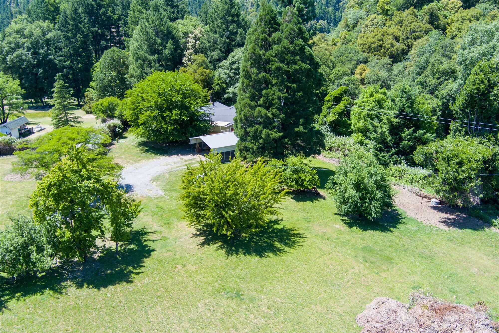 211 Redbud Lane