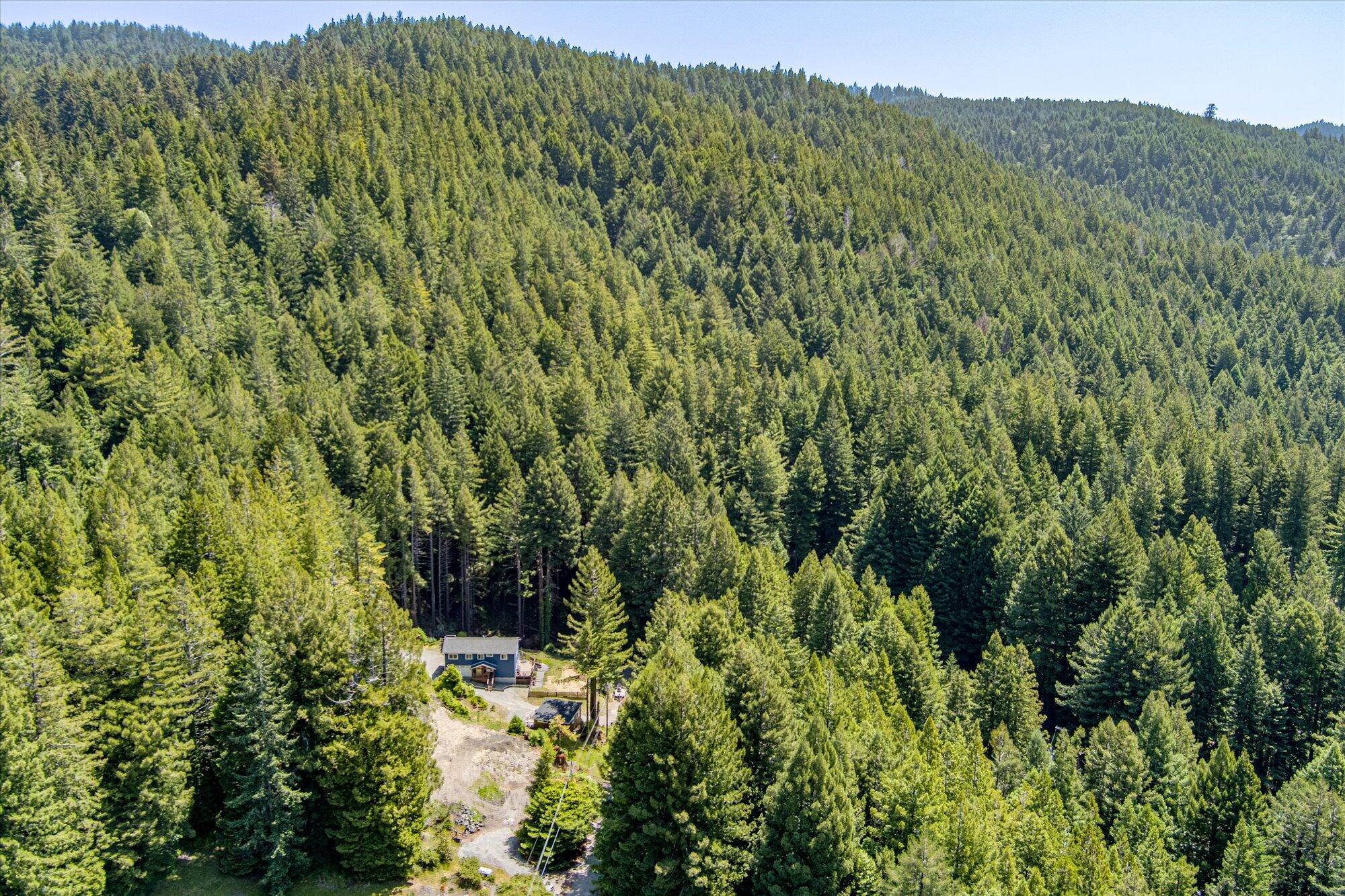 2203 Plunkett Road