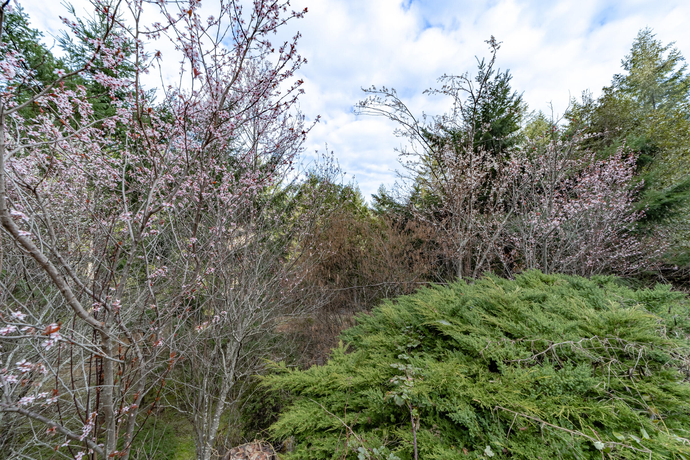 70 Cloud Forest Lane