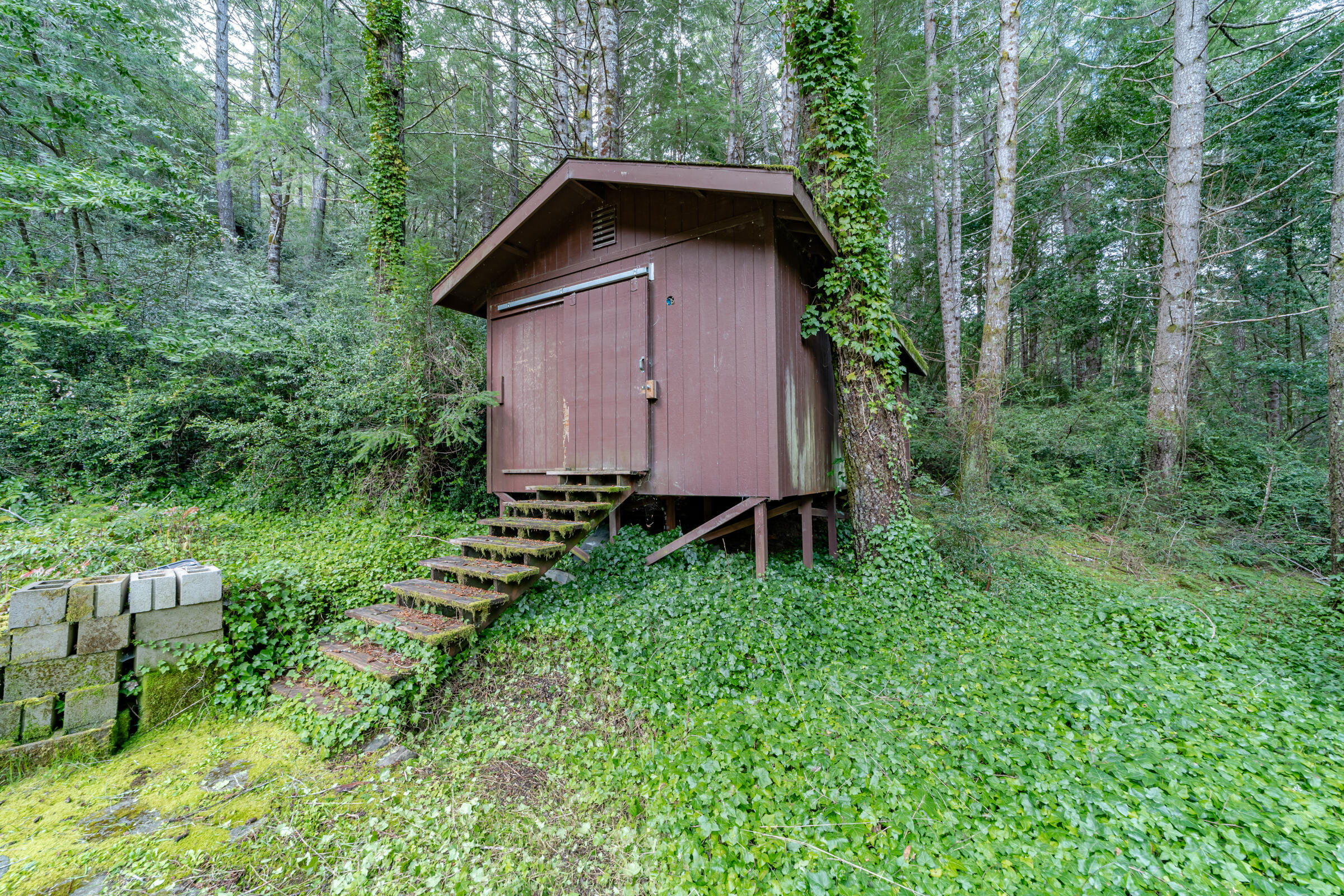 70 Cloud Forest Lane