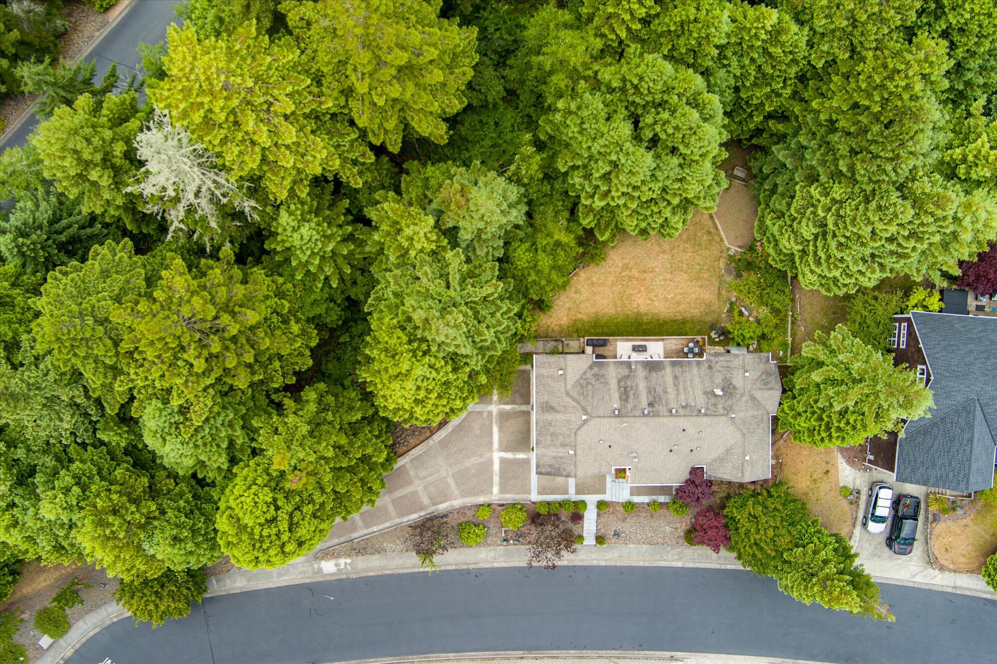 4266 Forest Hill Drive
