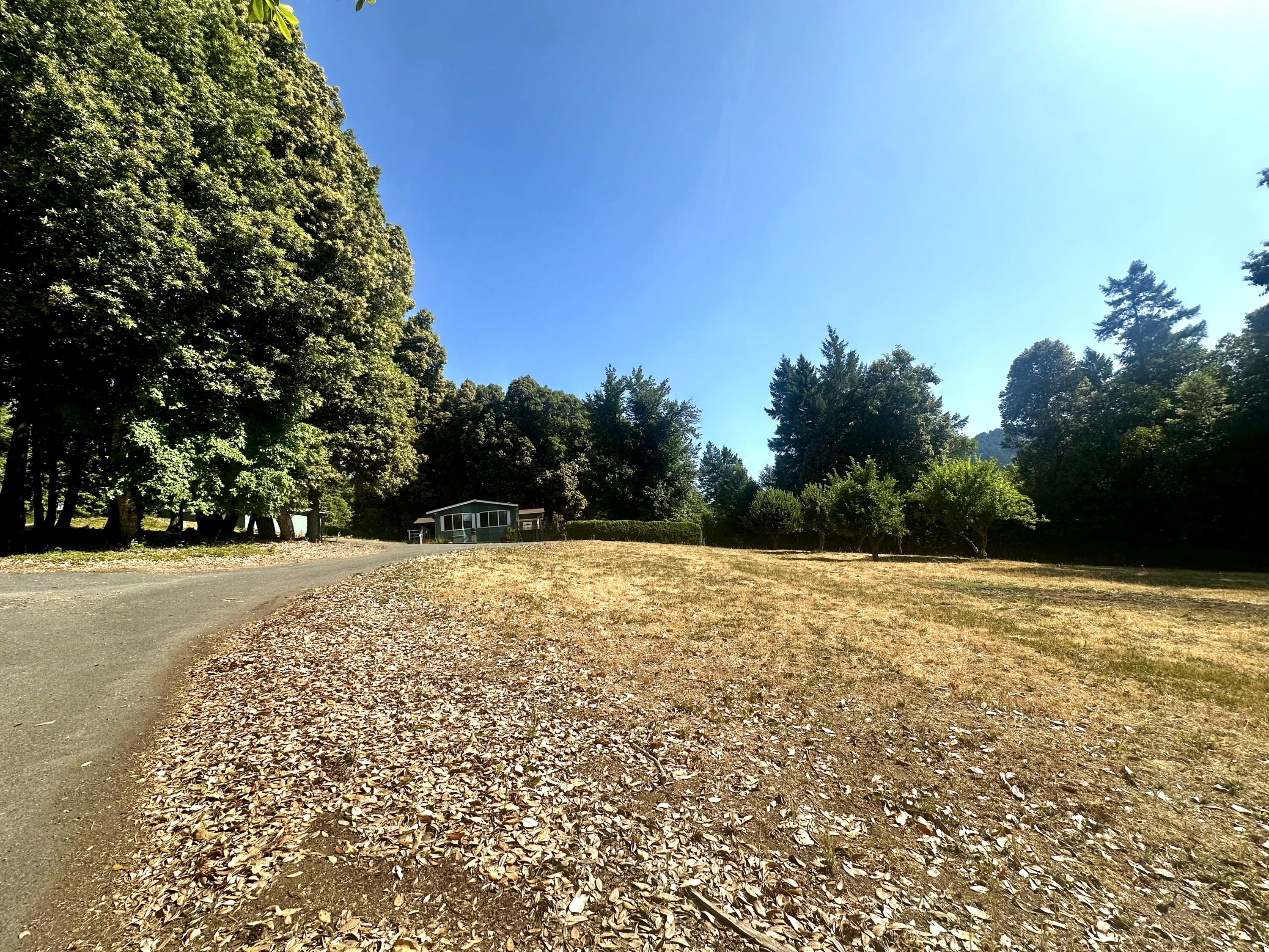 301 Orchard Park Lane