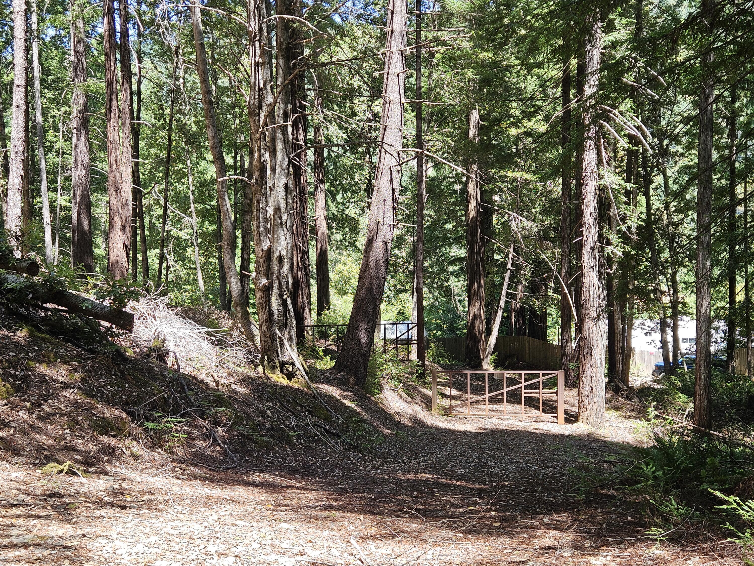 245 Twin Trees Lane