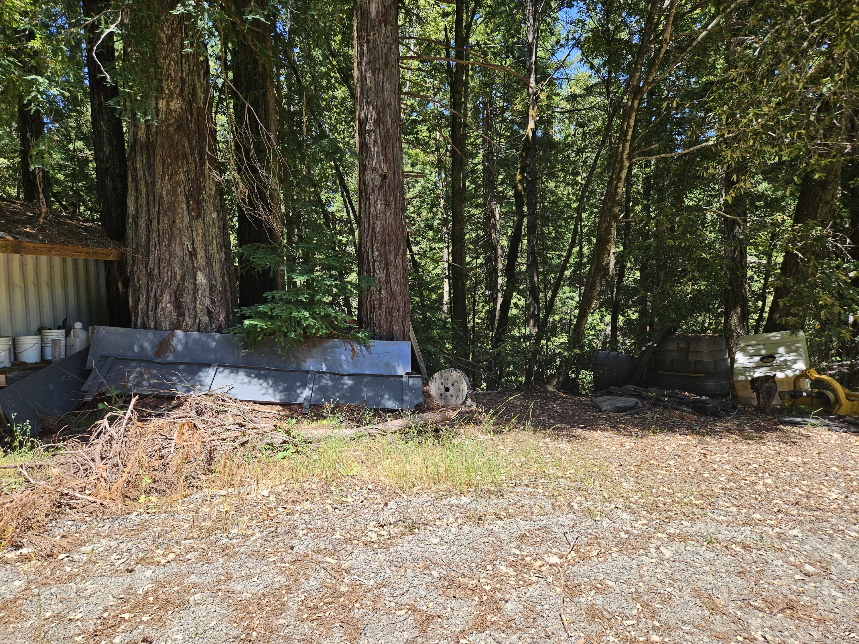 245 Twin Trees Lane
