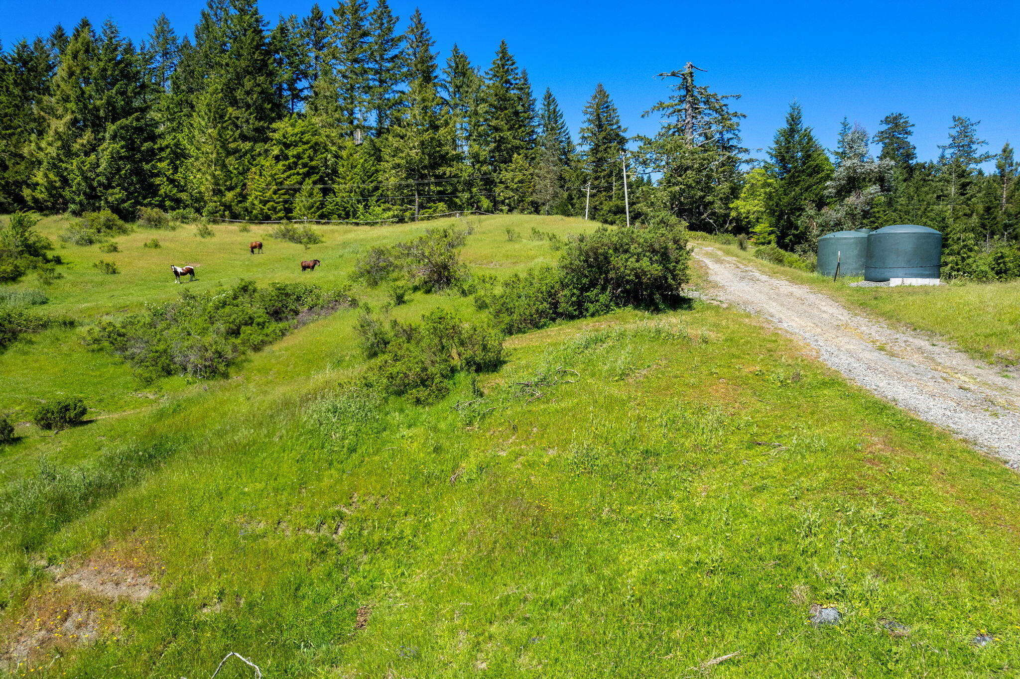 29860 State Highway 36