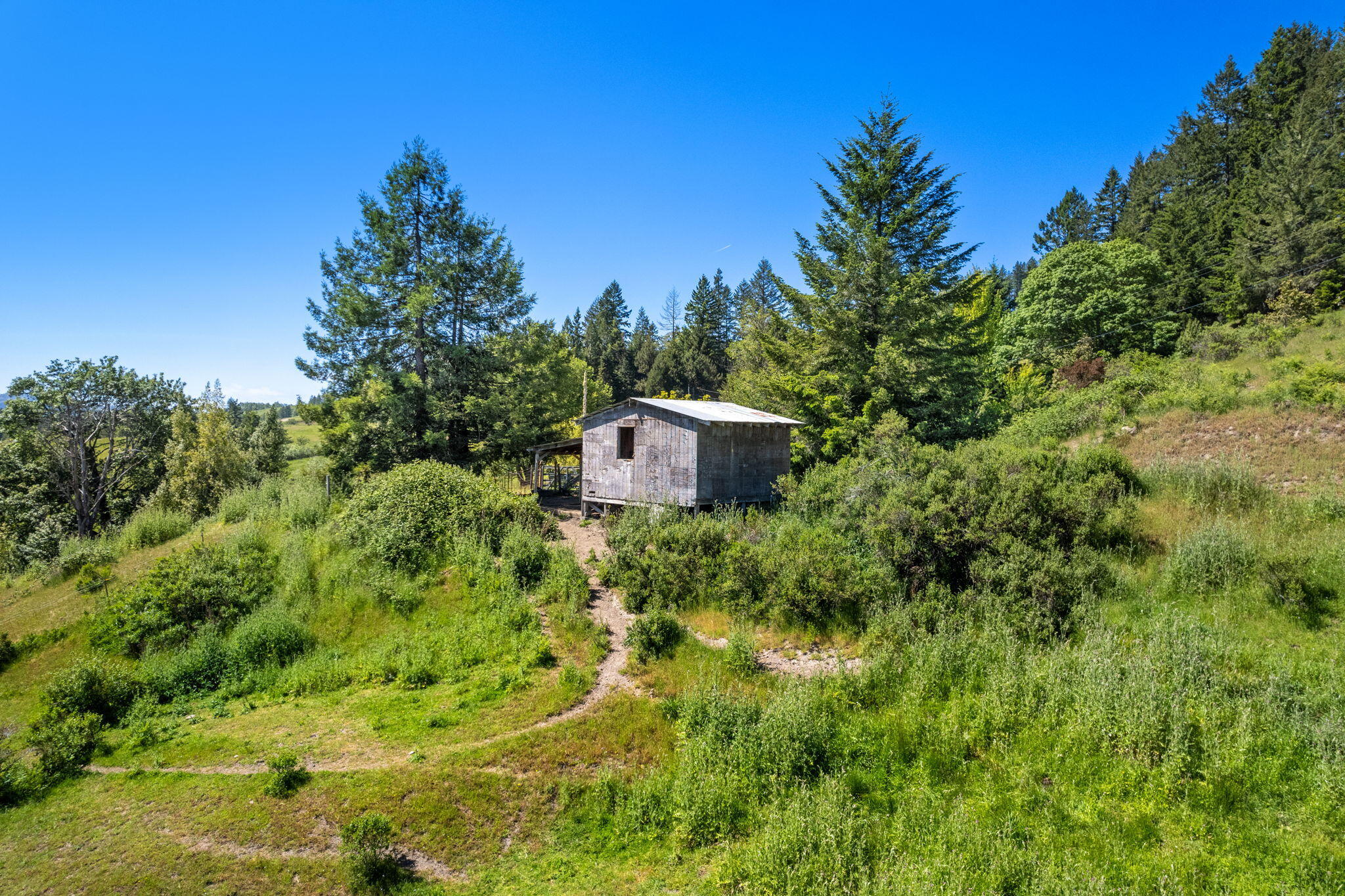 29860 State Highway 36