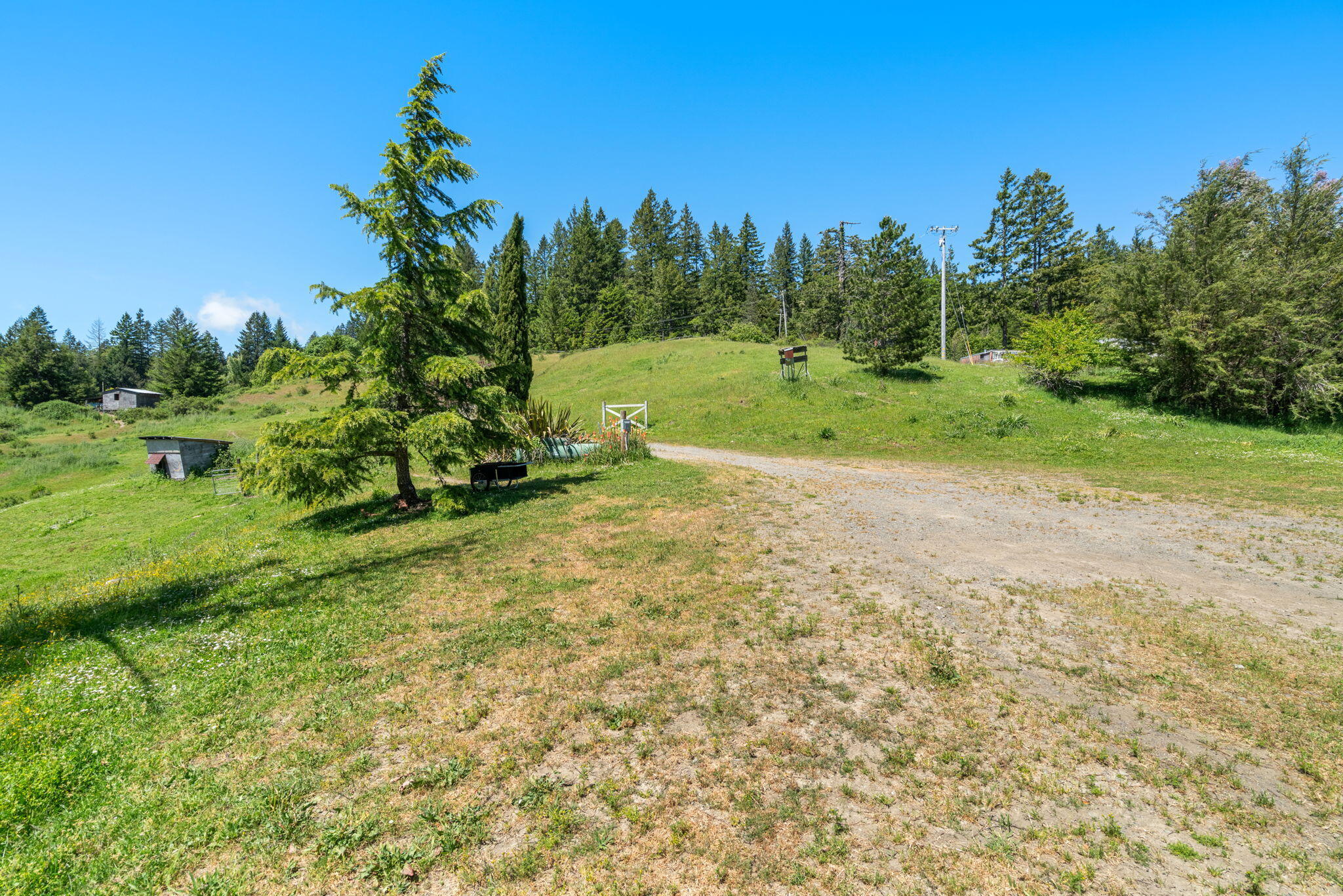 29860 State Highway 36