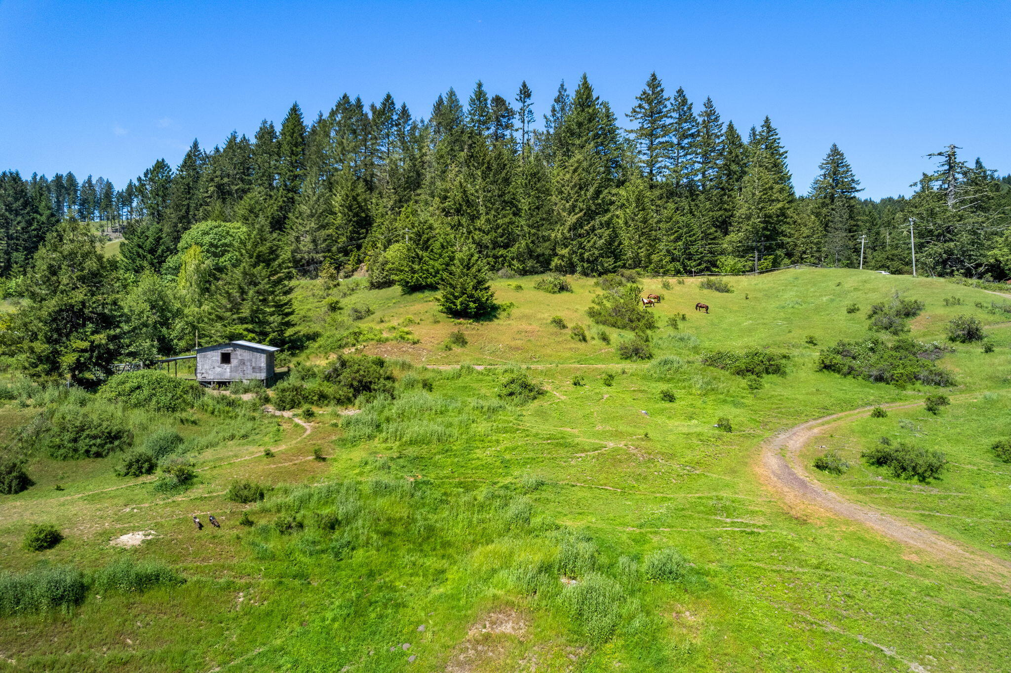 29860 State Highway 36