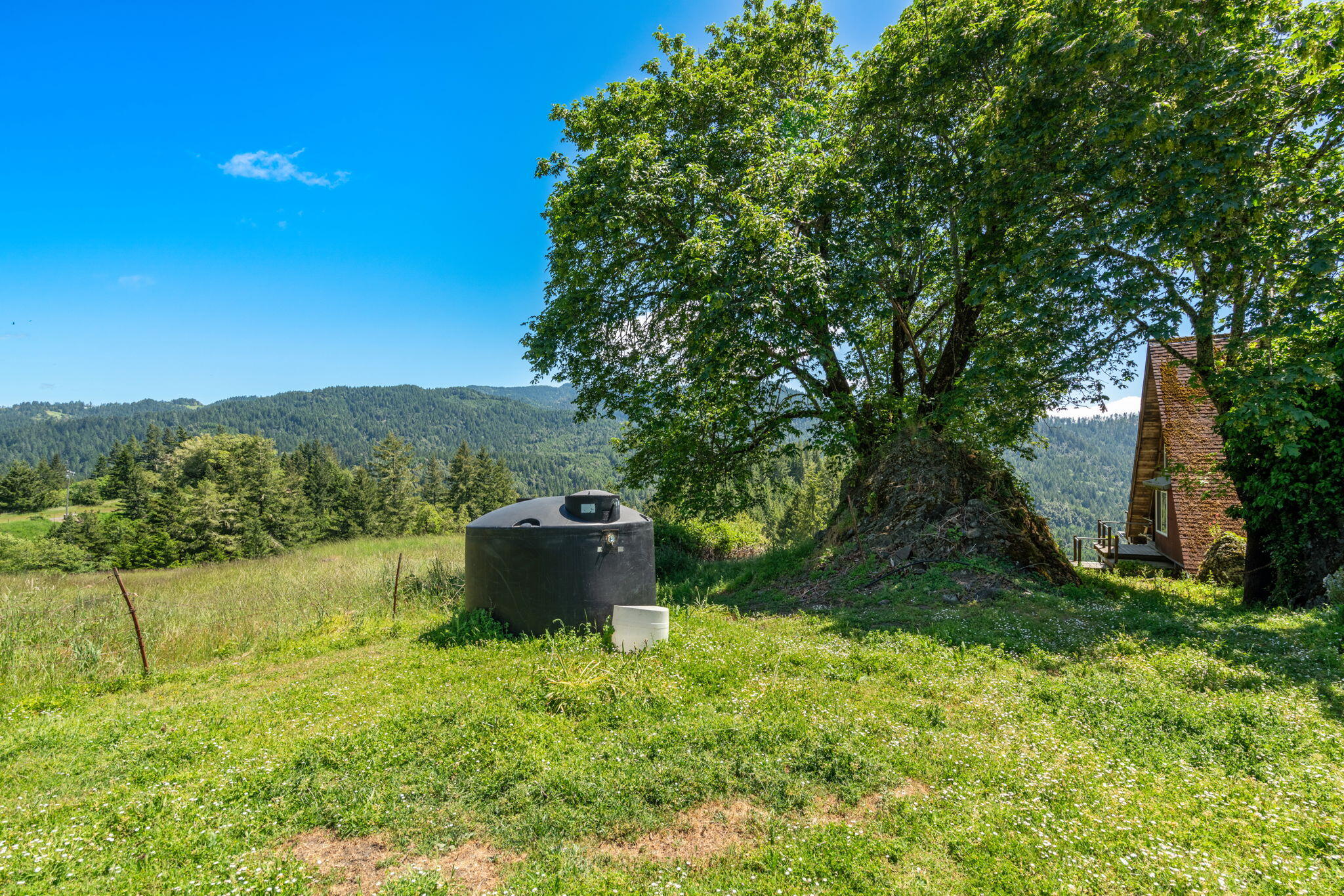 29860 State Highway 36