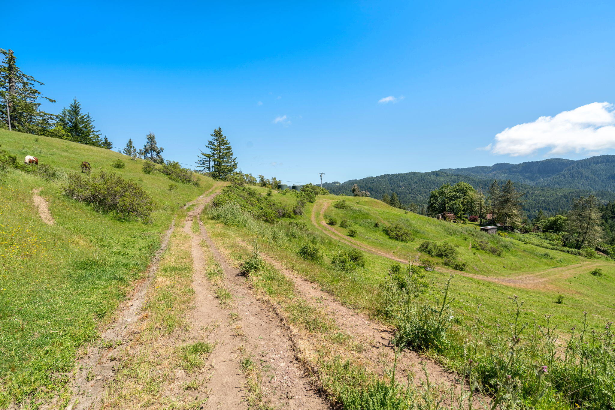 29860 State Highway 36
