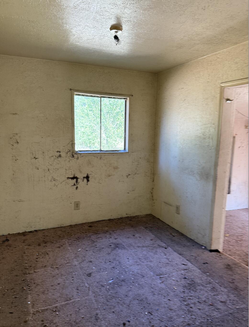 1491 Buck Mountain Road