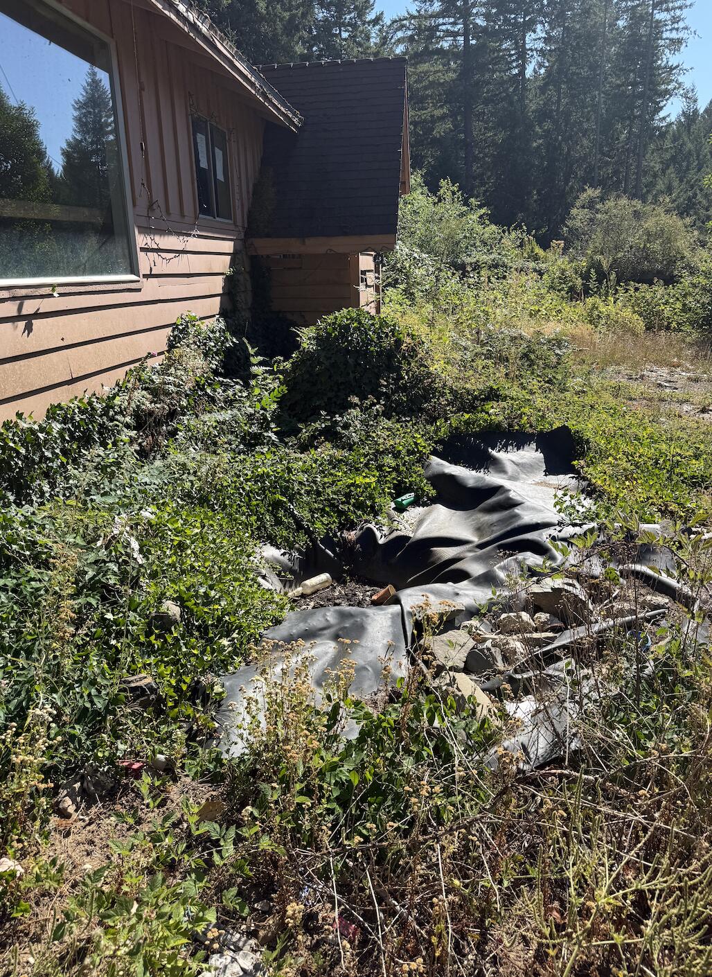 1491 Buck Mountain Road