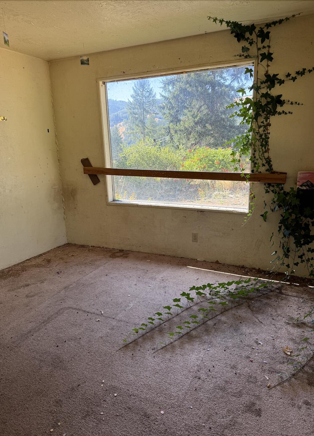 1491 Buck Mountain Road