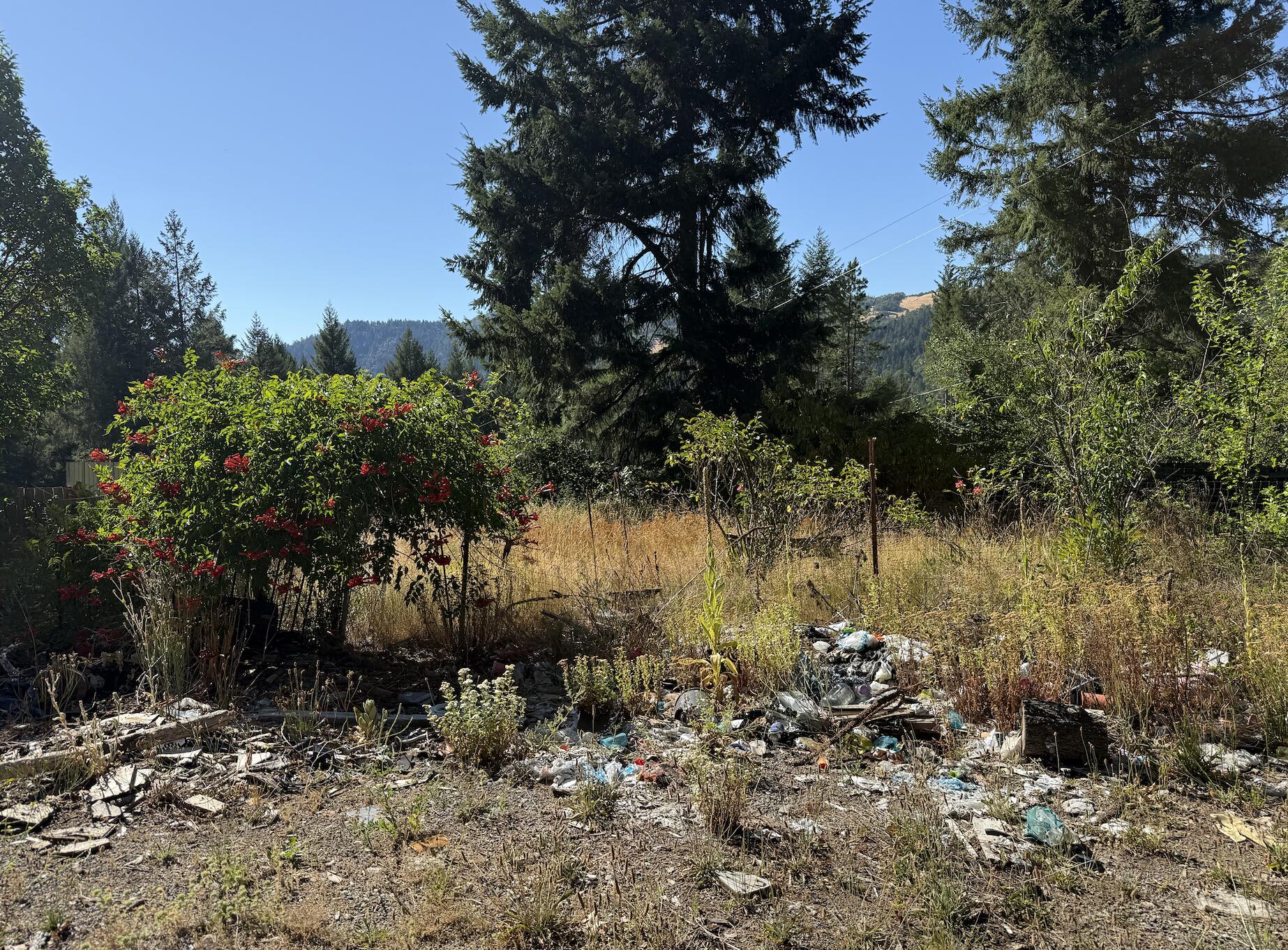 1491 Buck Mountain Road