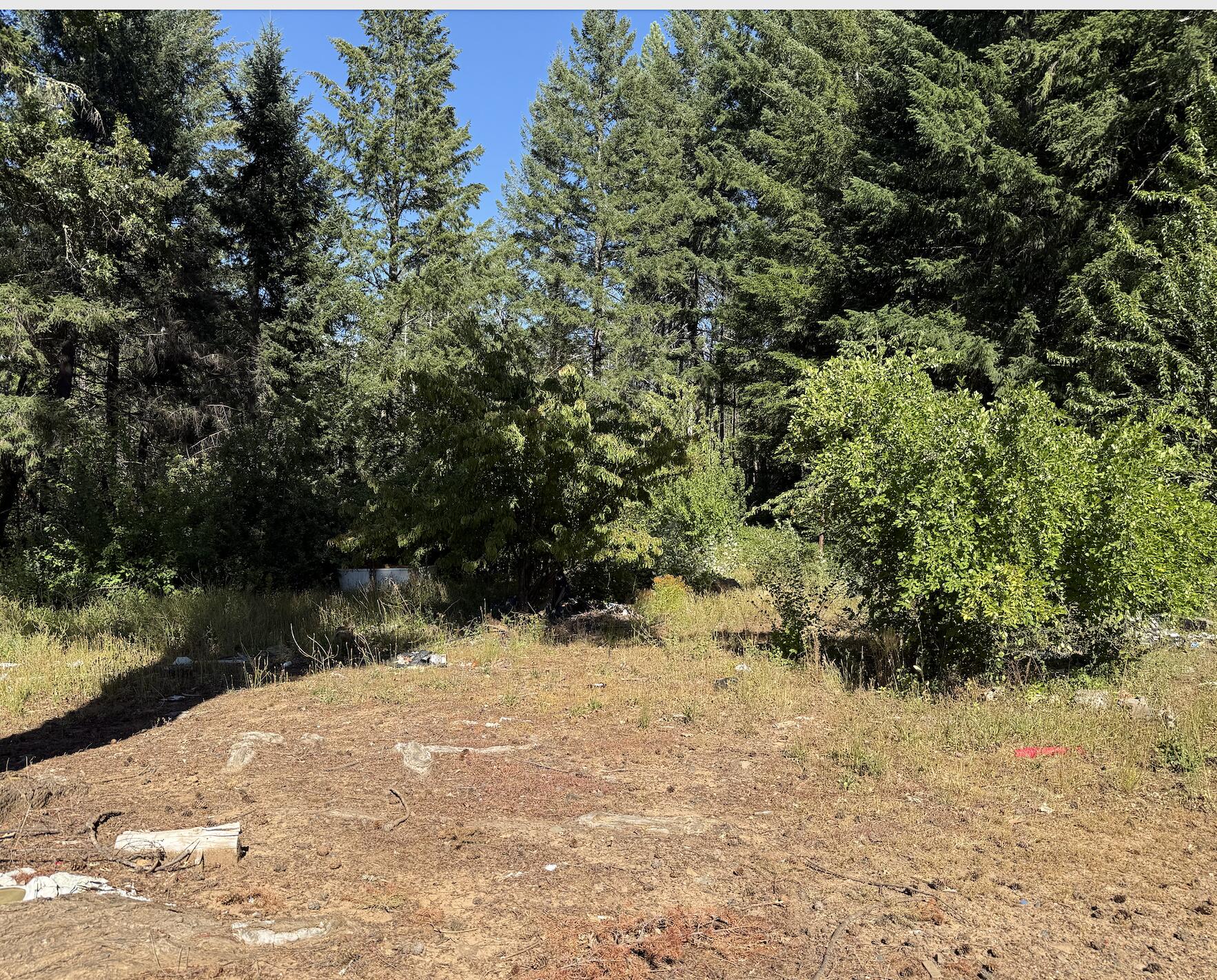 1491 Buck Mountain Road