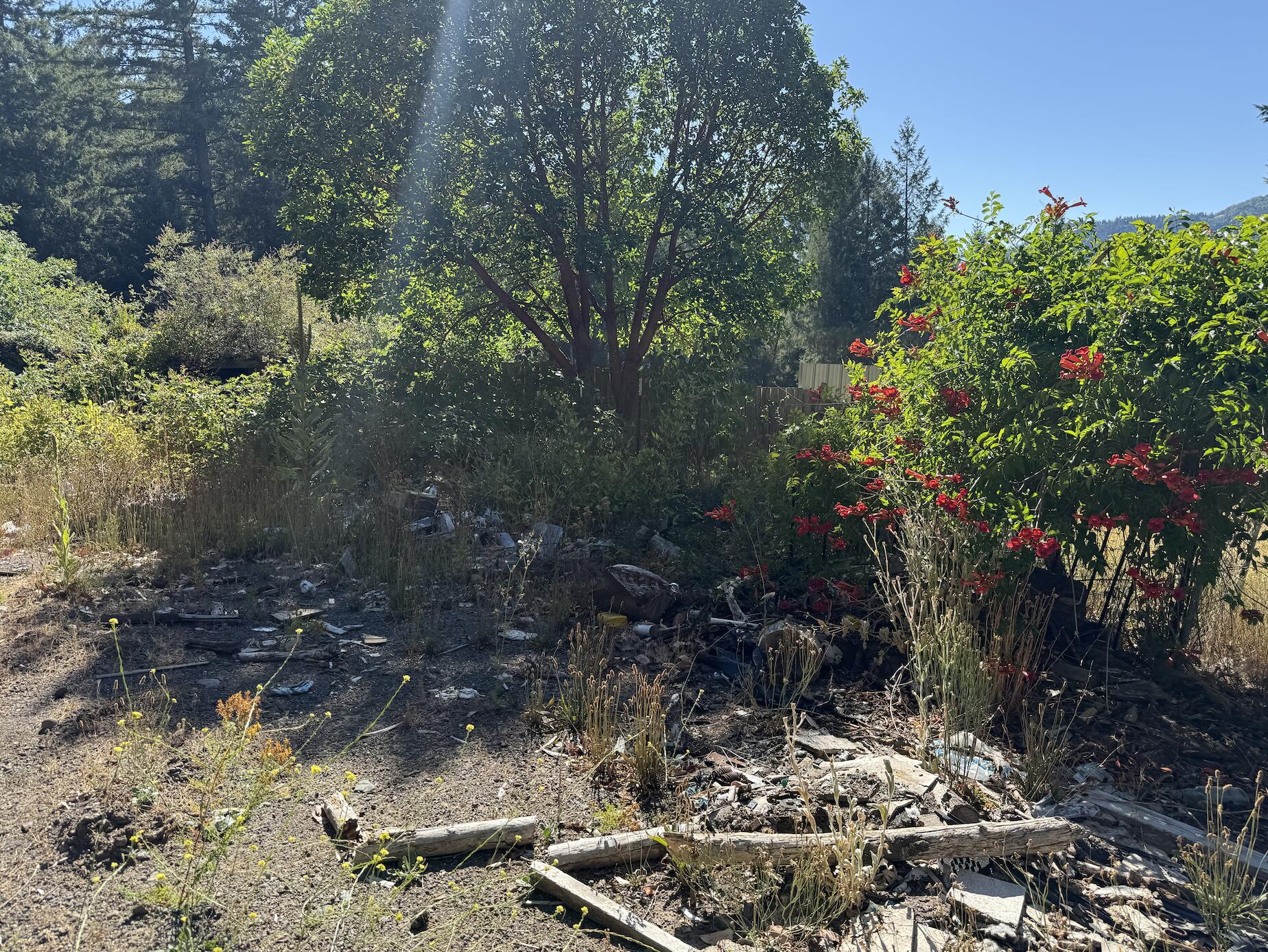 1491 Buck Mountain Road