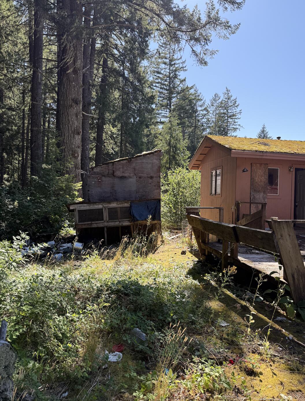 1491 Buck Mountain Road