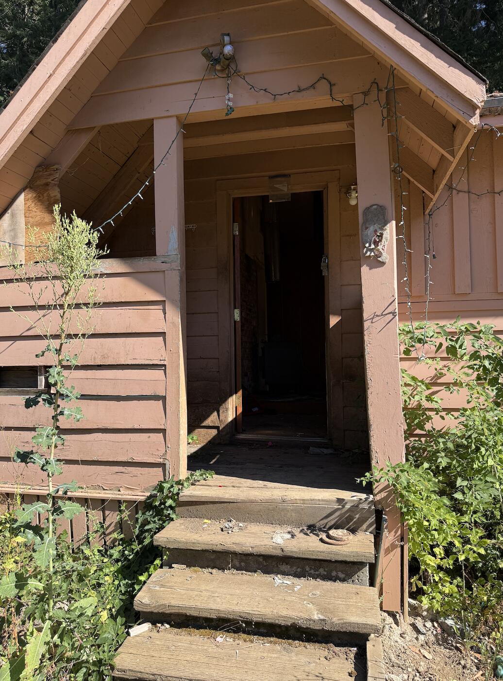 1491 Buck Mountain Road