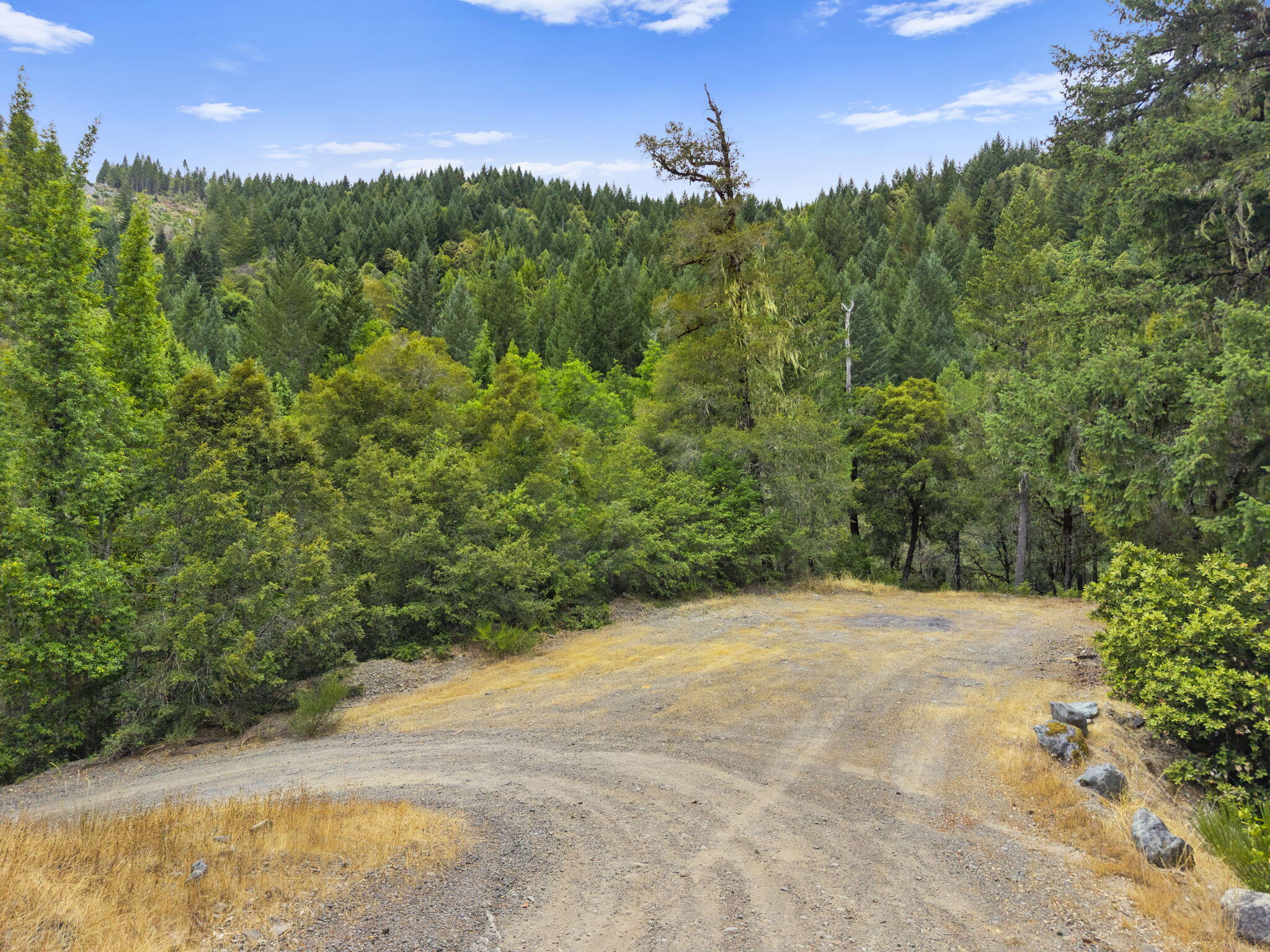 22280 Hwy 299