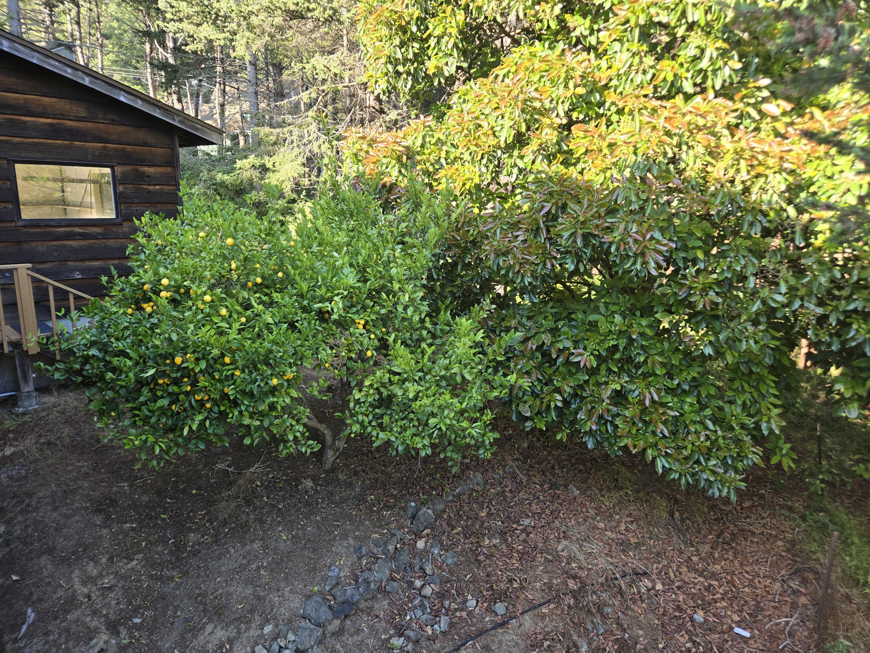 17 Spruce Court