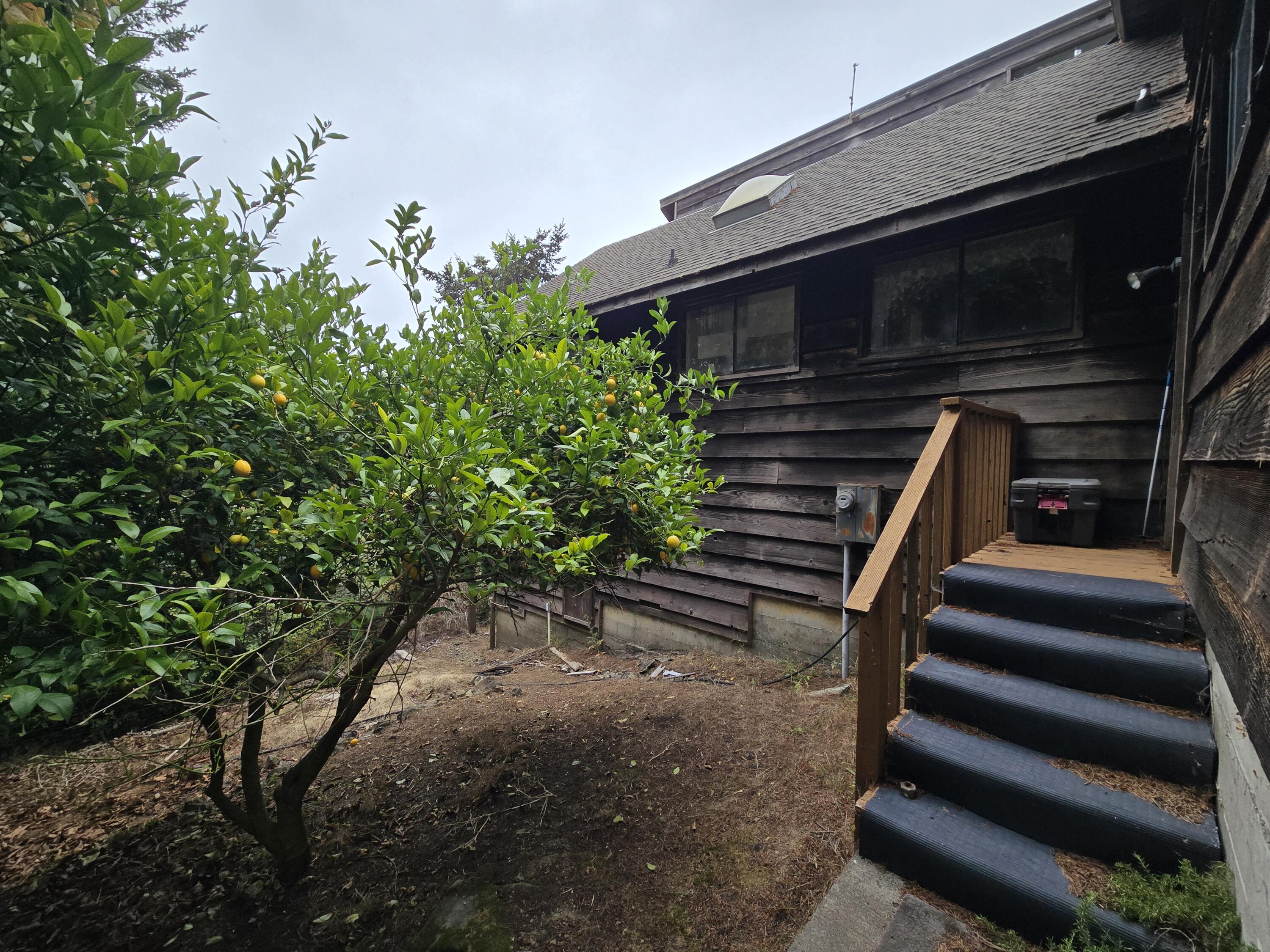 17 Spruce Court