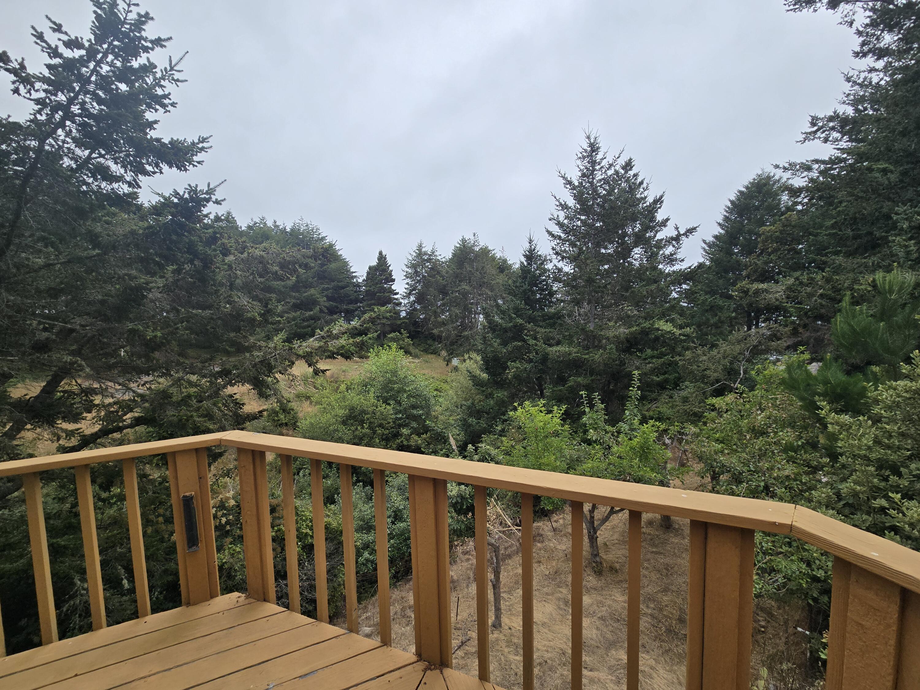 17 Spruce Court