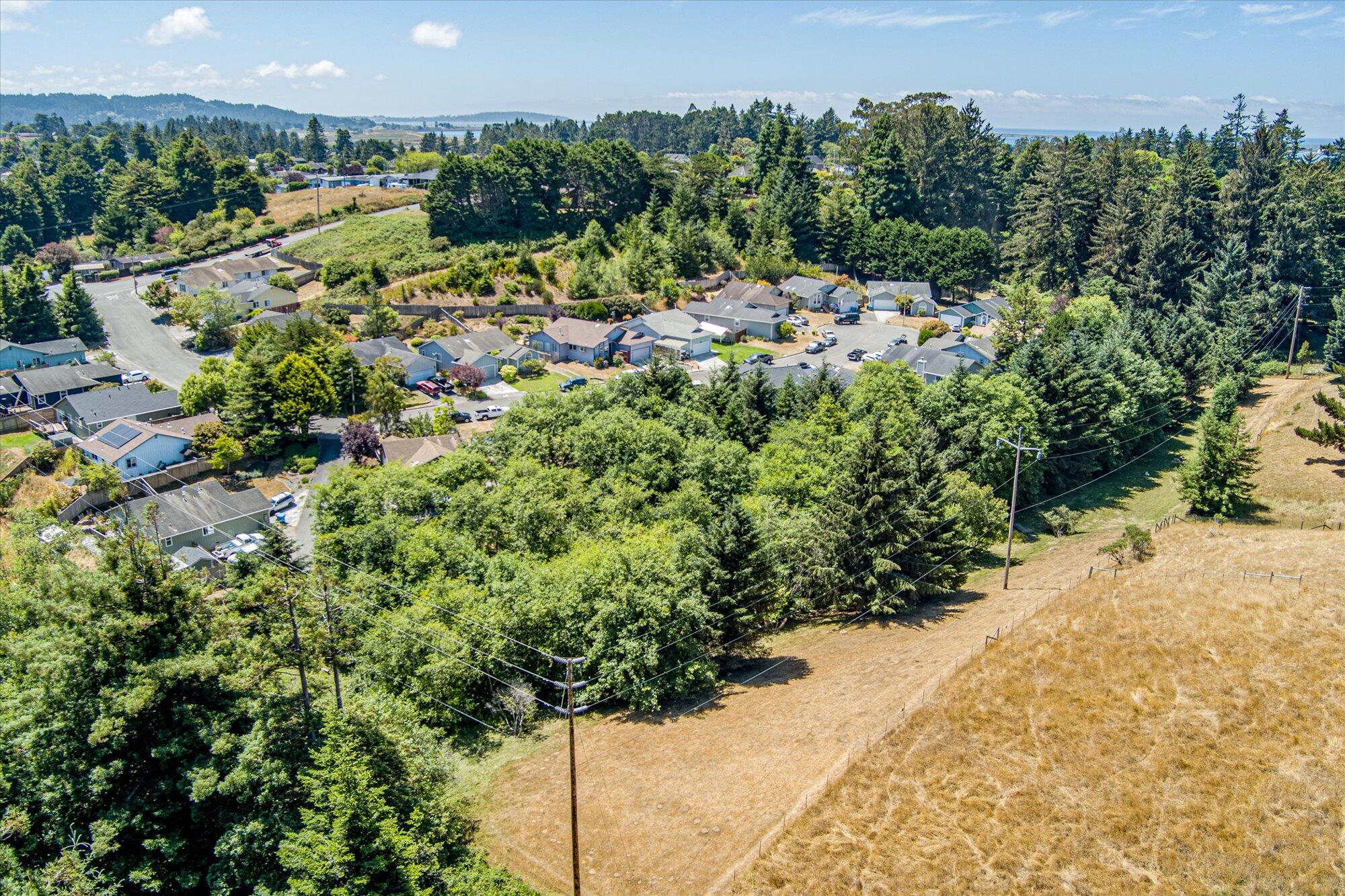 3995 Hillside Court
